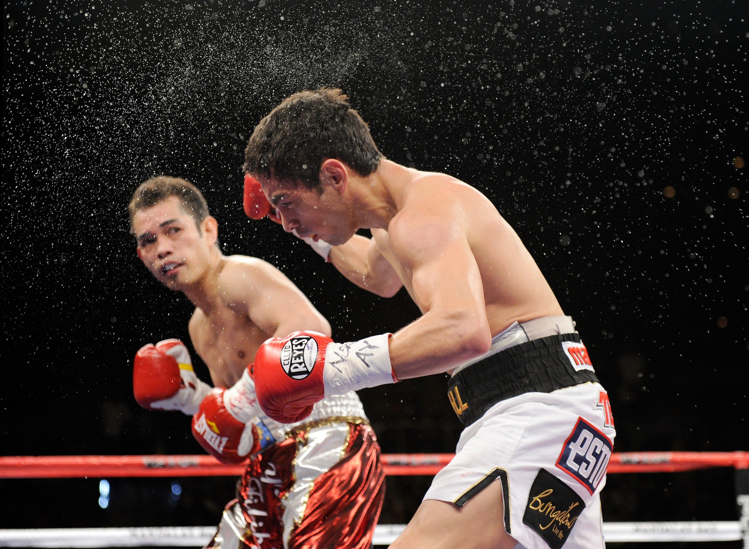 LAS VEGAS, NV - FEBRUARY 19:  Nonito Donaire of the Philippines watches Fernando Montiel of Mexico start to fall to the canvas after he hit him in the second round of their WBC/WBO bantamweight championship bout at the Mandalay Bay Events Center February