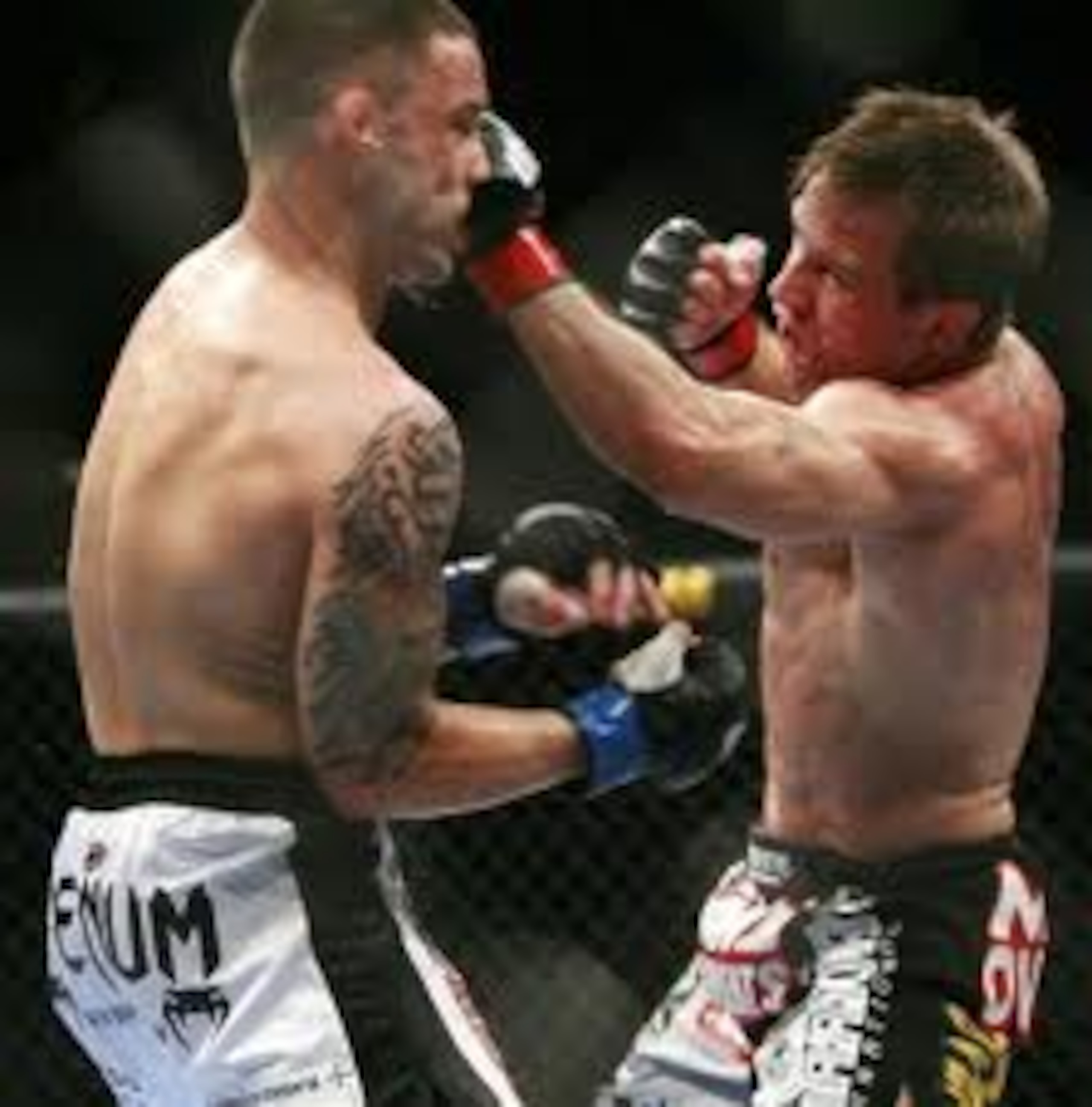 Sean Sherk landing an uppercut on Frankie Edgar Sean Sherk landing an uppercut on Frankie Edgar