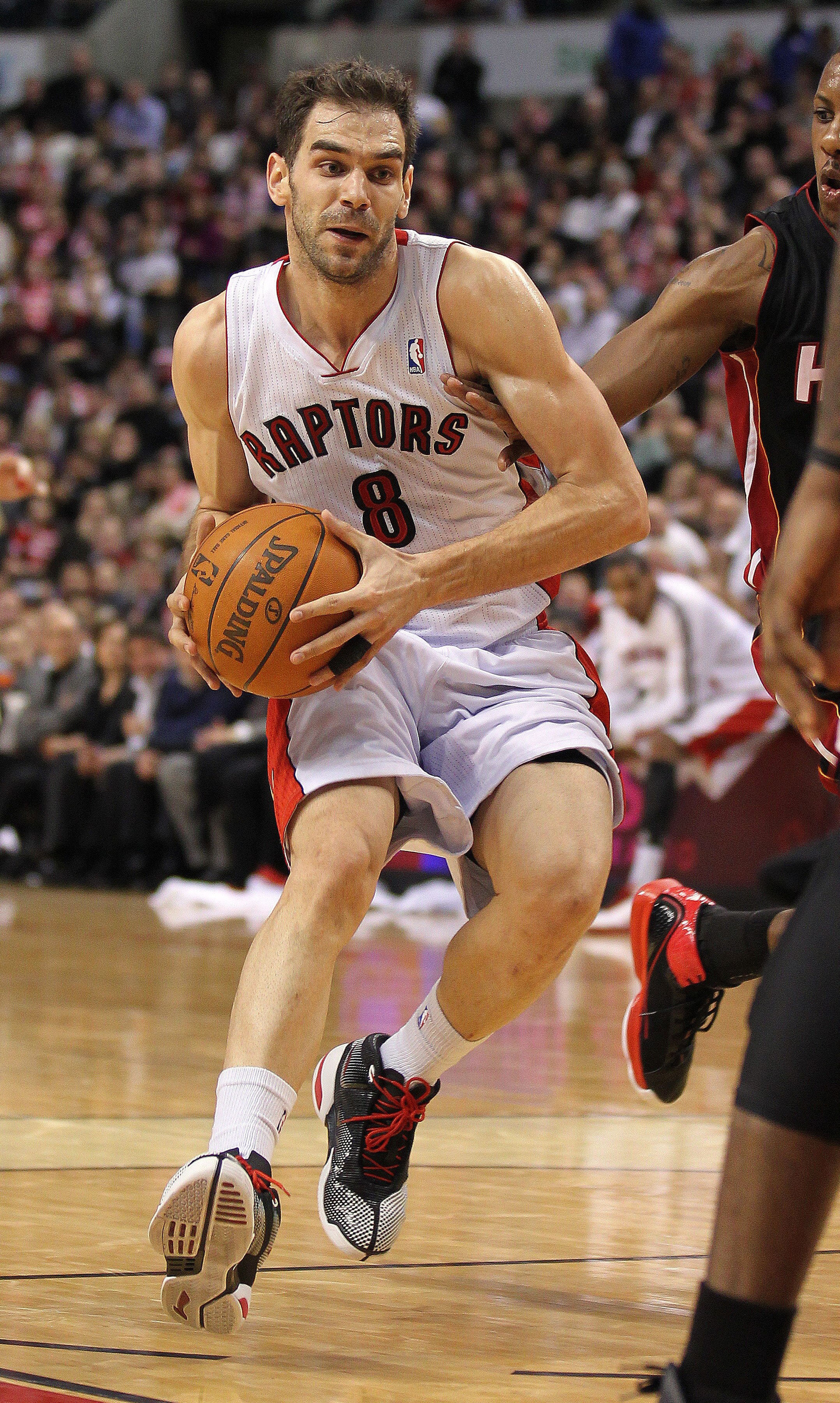 TORONTO, CANADA - FEBRUARY 16:  Jose Calderon #8 of the Toronto Raptors gets set to make a pass in a game against the Miami Heat on February 16, 2011 at the Air Canada Centre in Toronto, Canada. The Heat defeated the Raptors 103-95. (Photo by Claus Anders