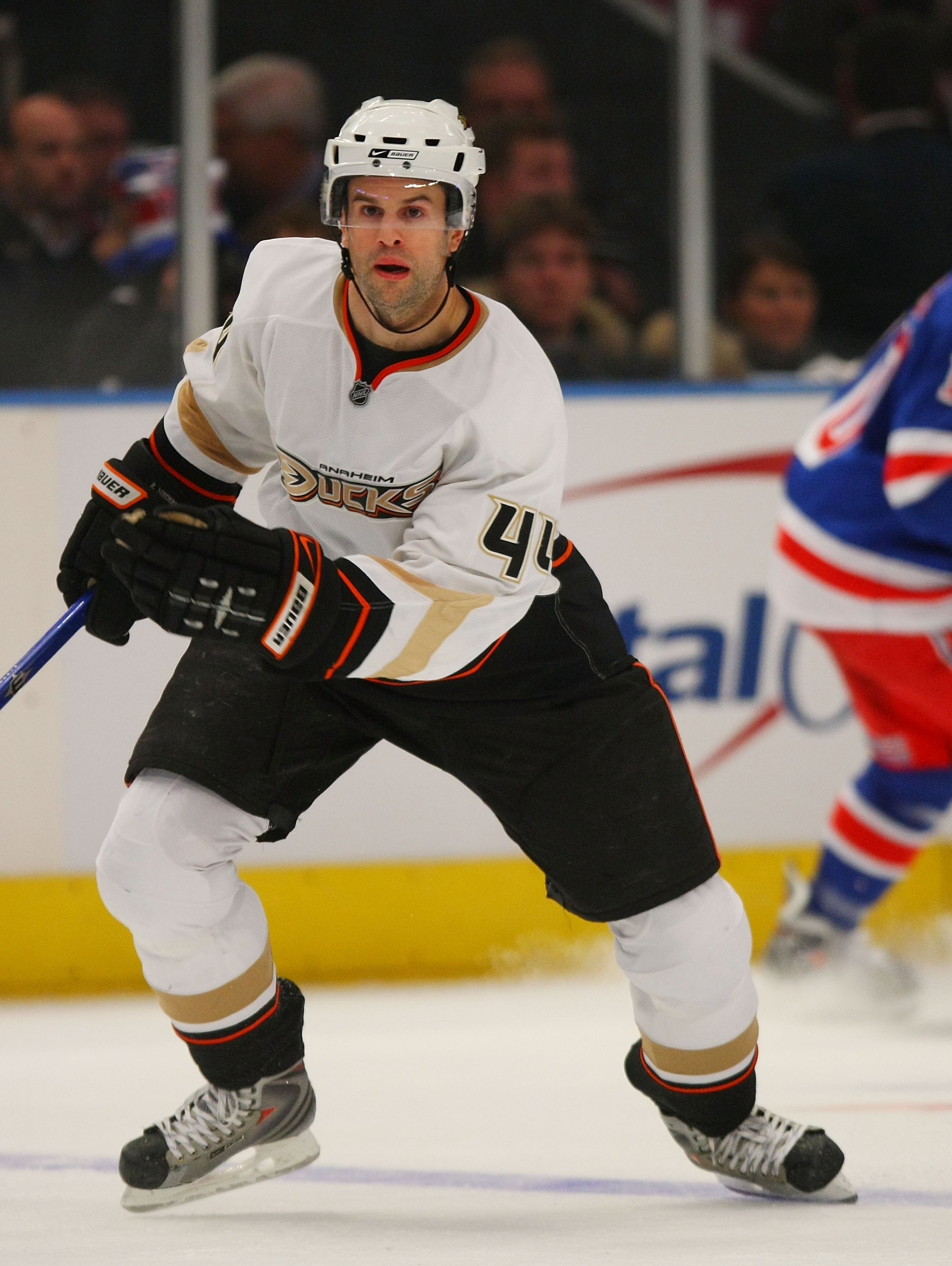 NEW YORK - JANUARY 20: Rob Niedermayer #44 of the Anaheim Ducks skates against the New York Rangers on January 20, 2009 at Madison Square Garden in New York City. (Photo by Bruce Bennett/Getty Images)