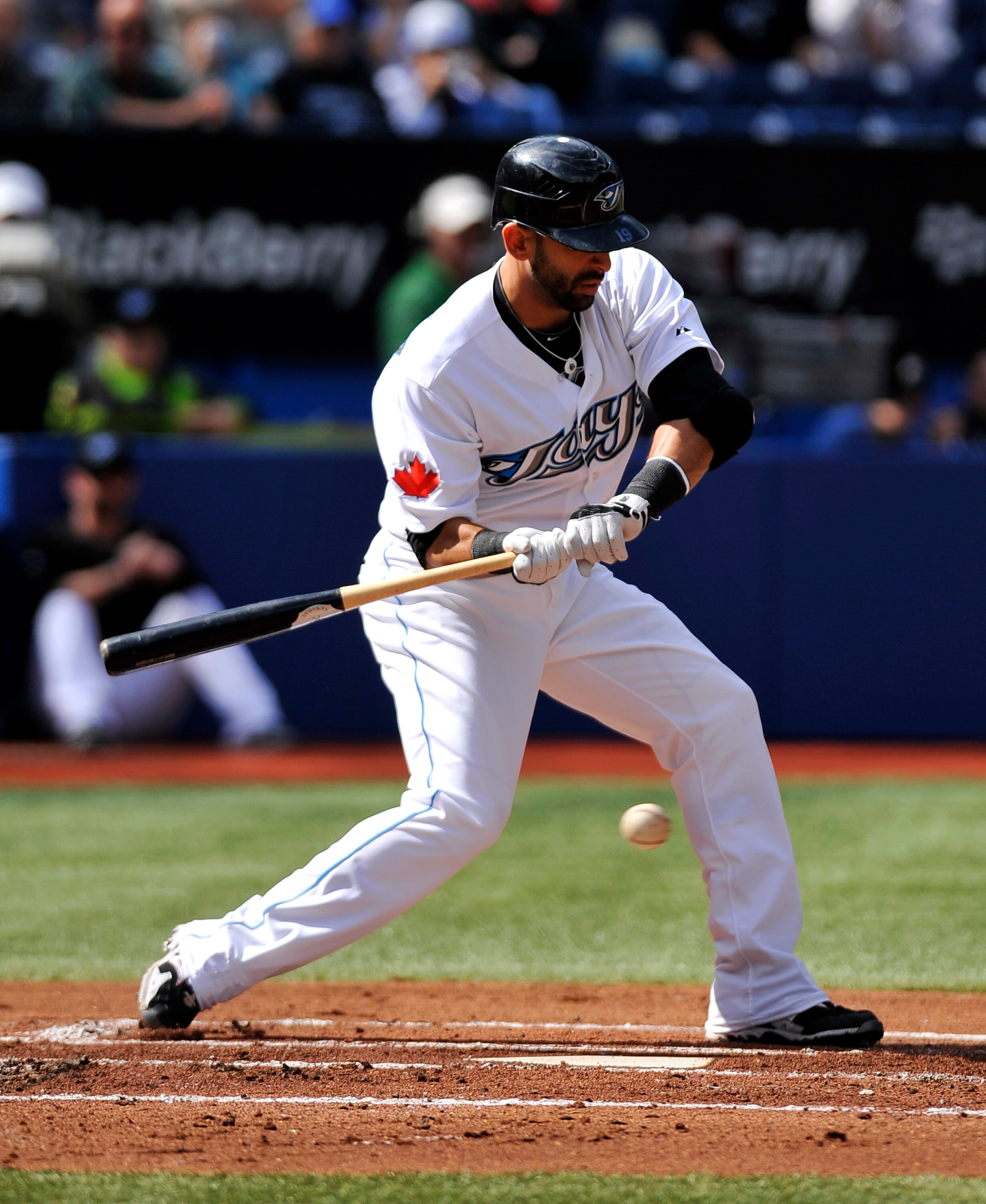 TORONTO - SEPTEMBER 23:   Jose Bautista #19 of the Toronto Blue Jays bats during the game against the Seattle Mariners on September 23, 2010 at Rogers Centre in Toronto, Ontario, Canada. The Blue Jays defeated the Mariners 1-0. (Photo by Brad White/Getty