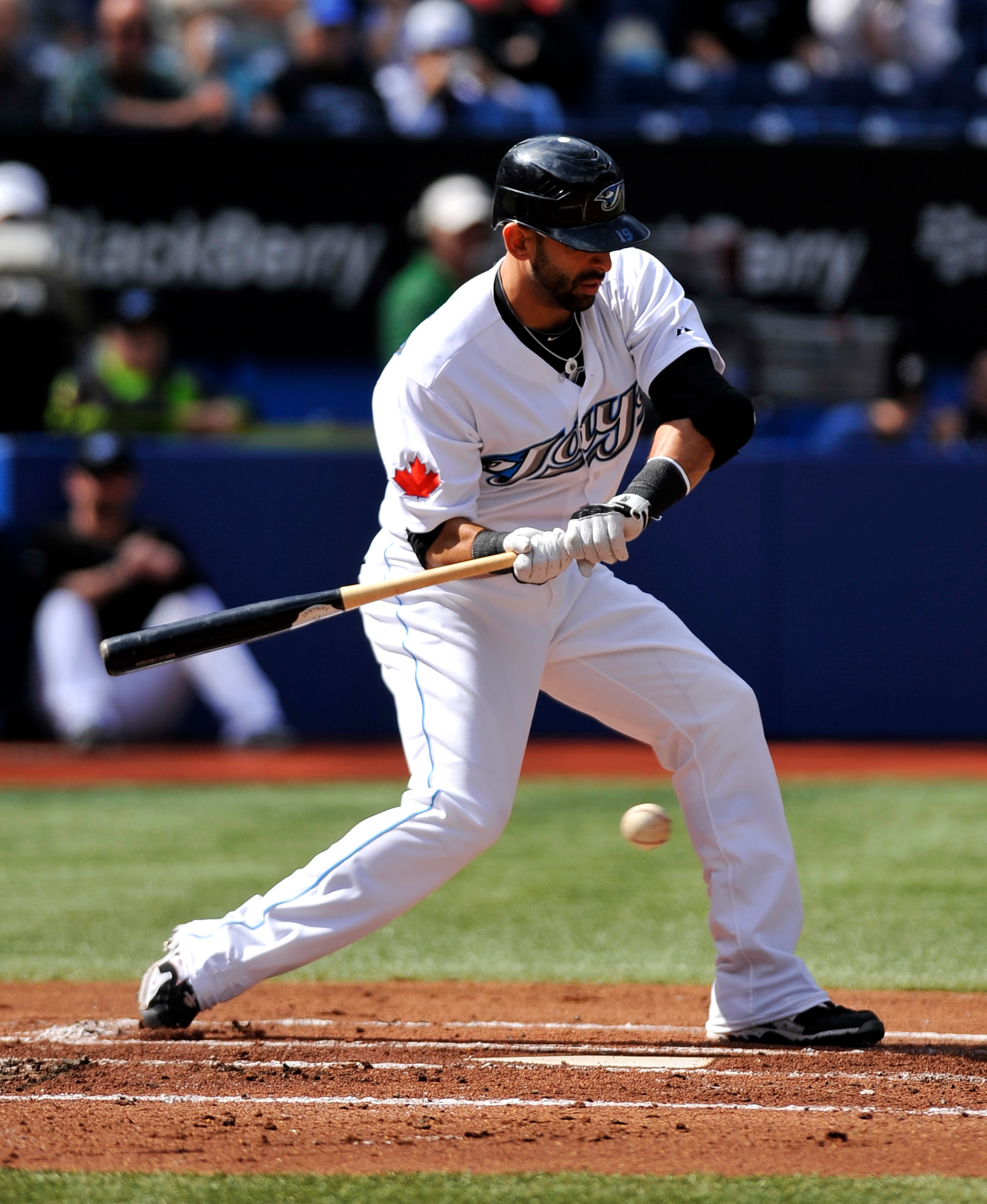 TORONTO - SEPTEMBER 23:   Jose Bautista #19 of the Toronto Blue Jays bats during the game against the Seattle Mariners on September 23, 2010 at Rogers Centre in Toronto, Ontario, Canada. The Blue Jays defeated the Mariners 1-0. (Photo by Brad White/Getty
