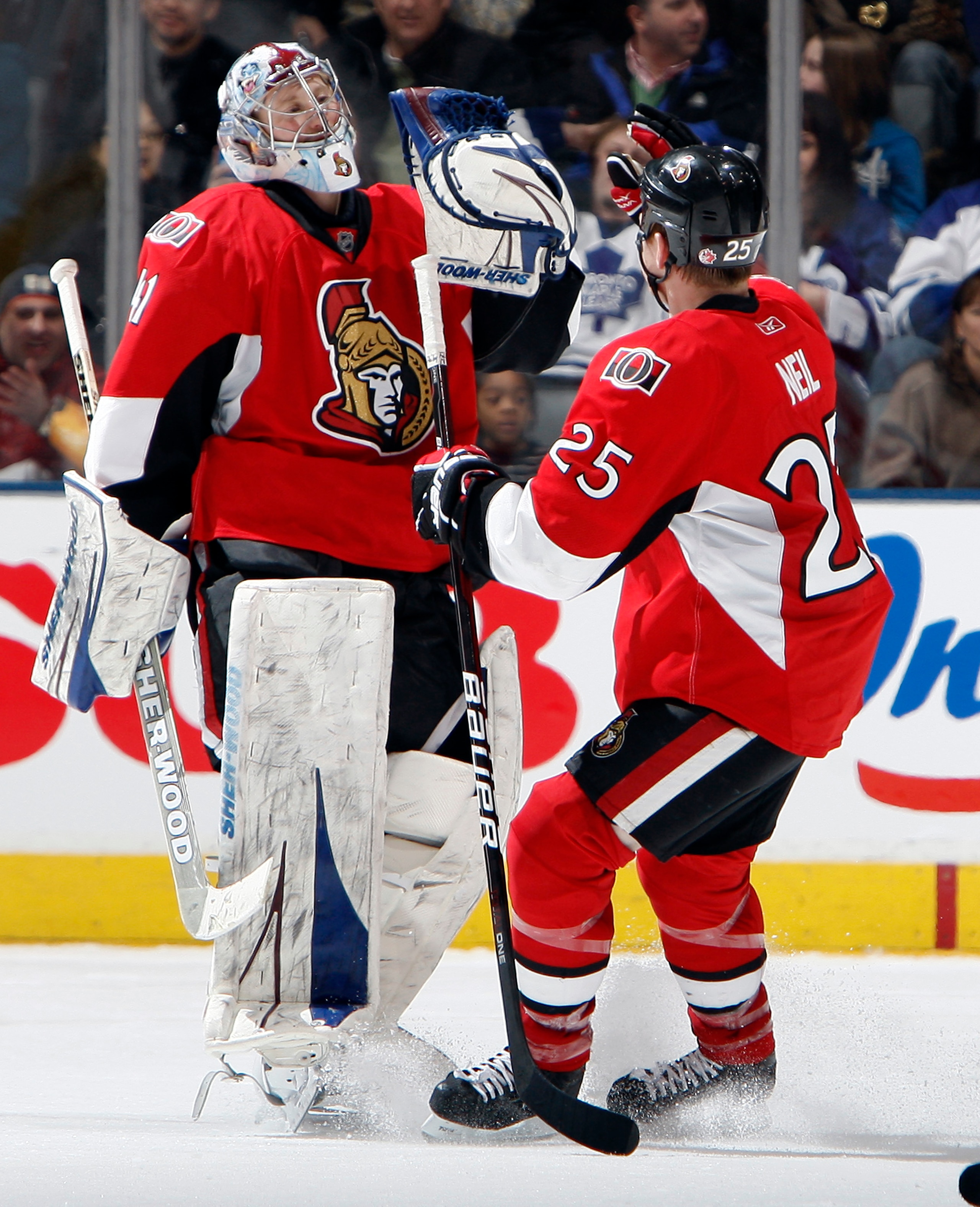 TORONTO, CANADA - FEBRUARY 19: Craig Anderson #41 and Chris Neil #25 of the Ottawa Senators celebrates shootout win at the Air Canada Centre against the Toronto Maple Leafs February 19, 2011 in Toronto, Ontario, Canada. (Photo by Abelimages/Getty Images)