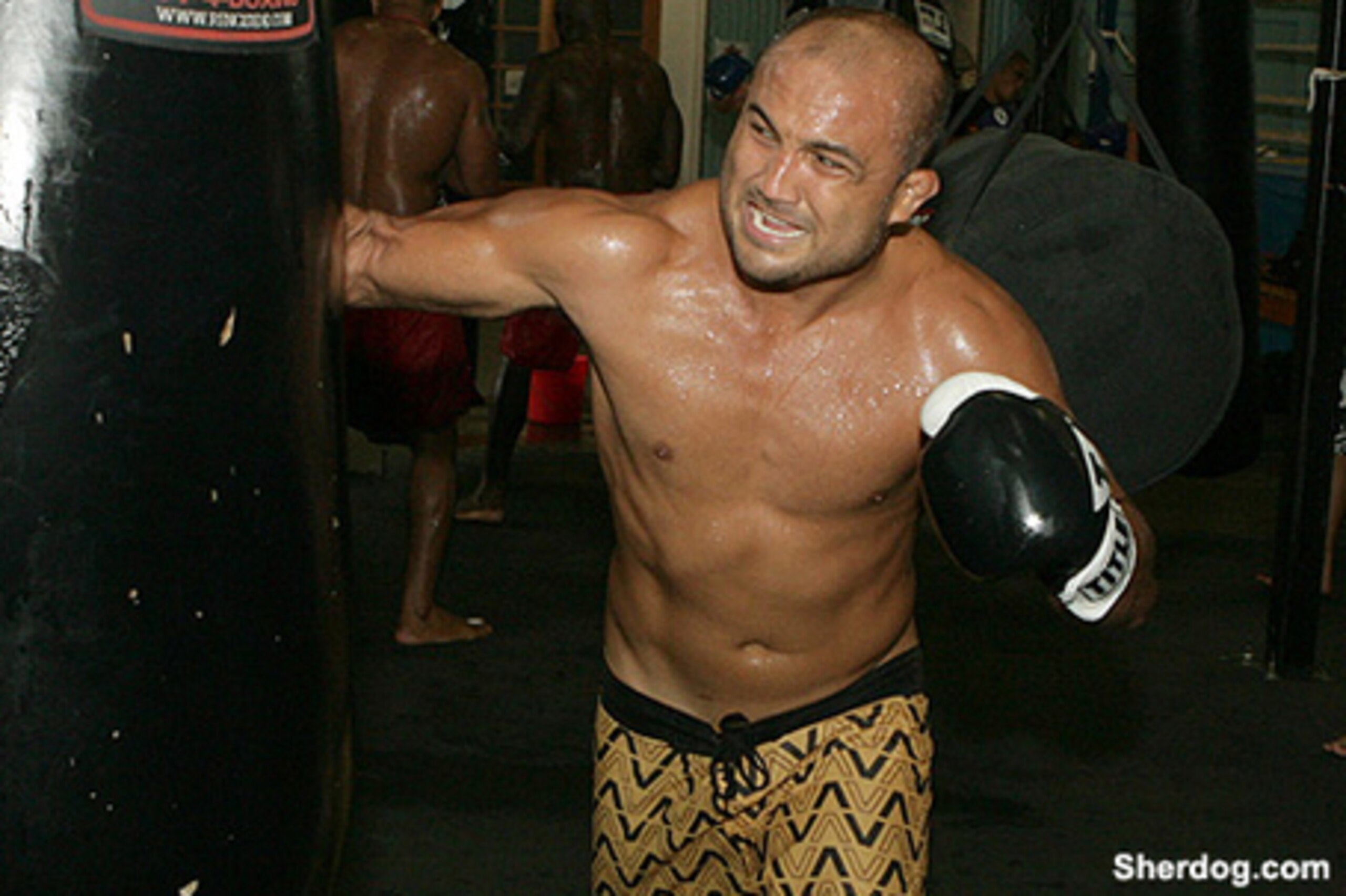 Image courtesy of Sherdog.com