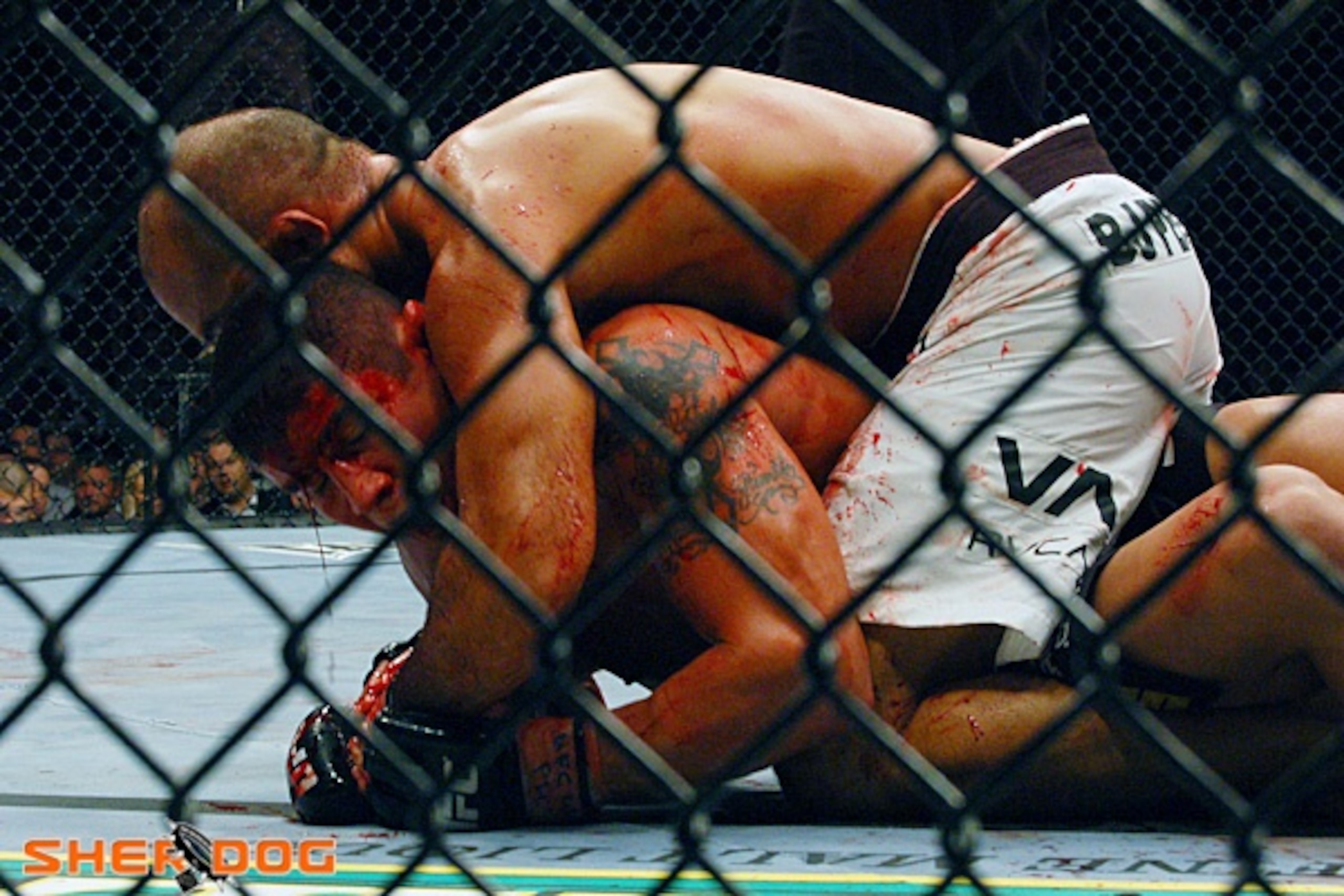 Image courtesy of Sherdog.com