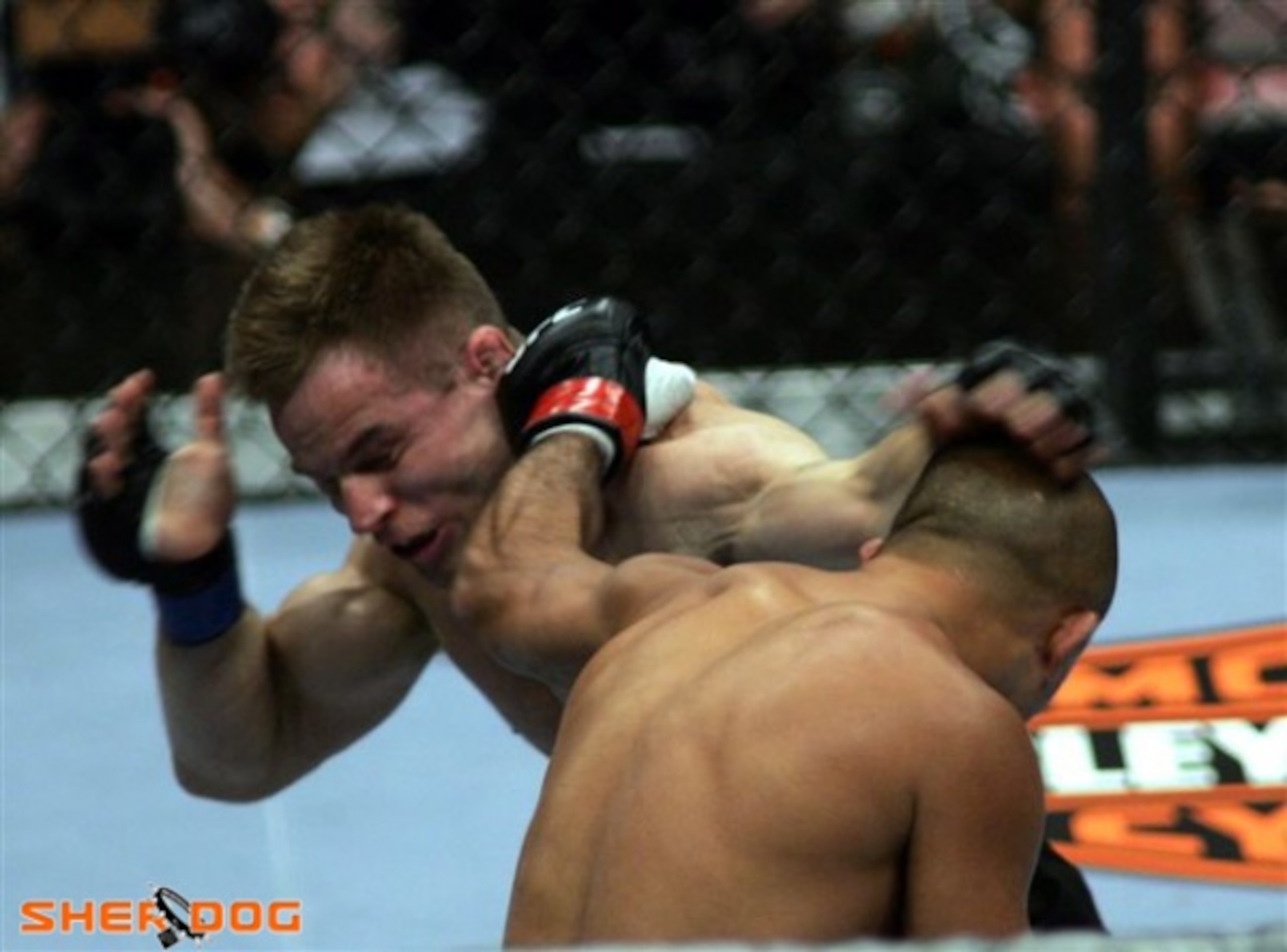 Image courtesy of Sherdog.com