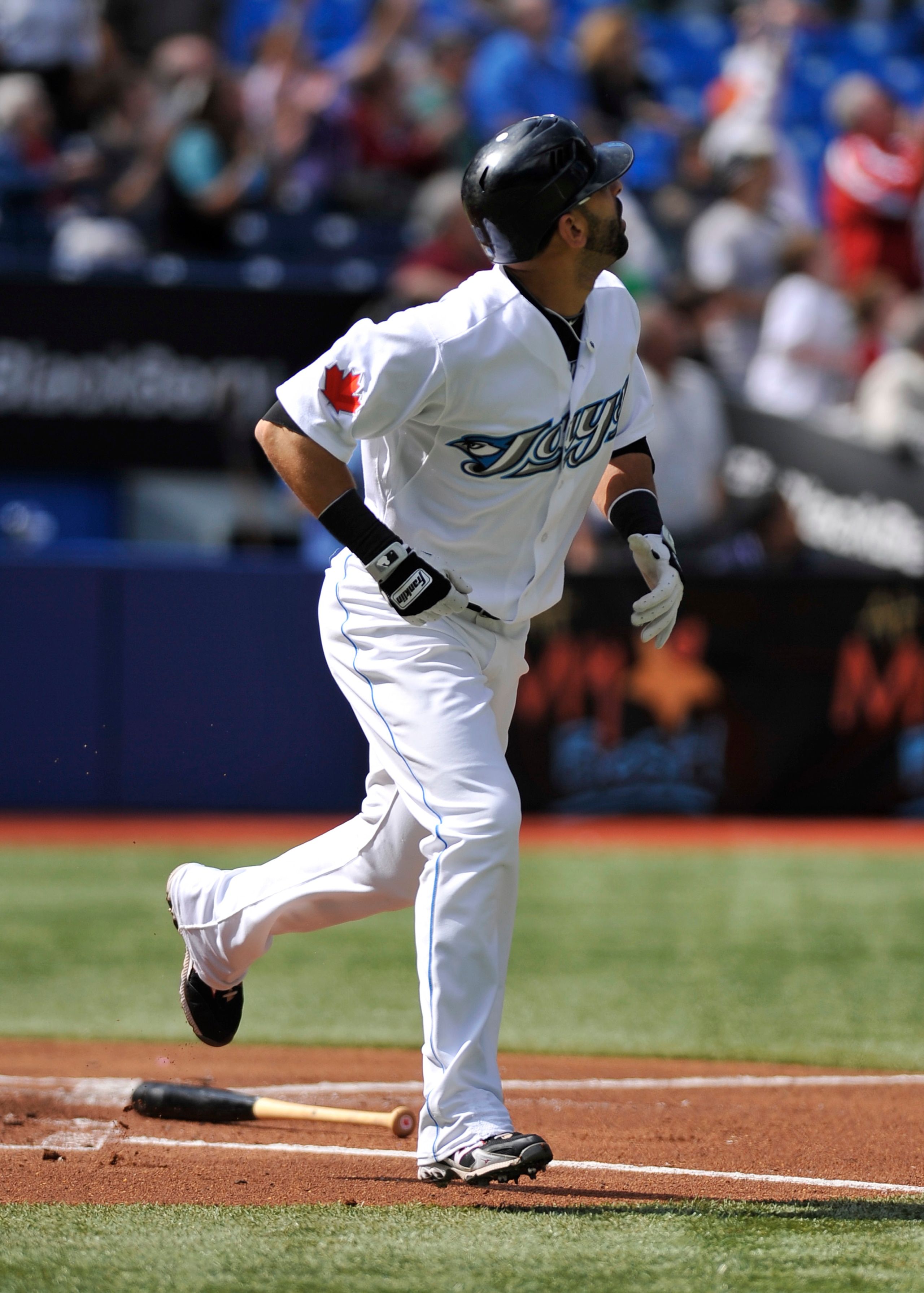 TORONTO - SEPTEMBER 23:   Jose Bautista #19 of the Toronto Blue Jays looks as his 50th home run of the season leaves the ball park during the game against the Seattle Mariners on September 23, 2010 at Rogers Centre in Toronto, Ontario, Canada. The Blue Ja