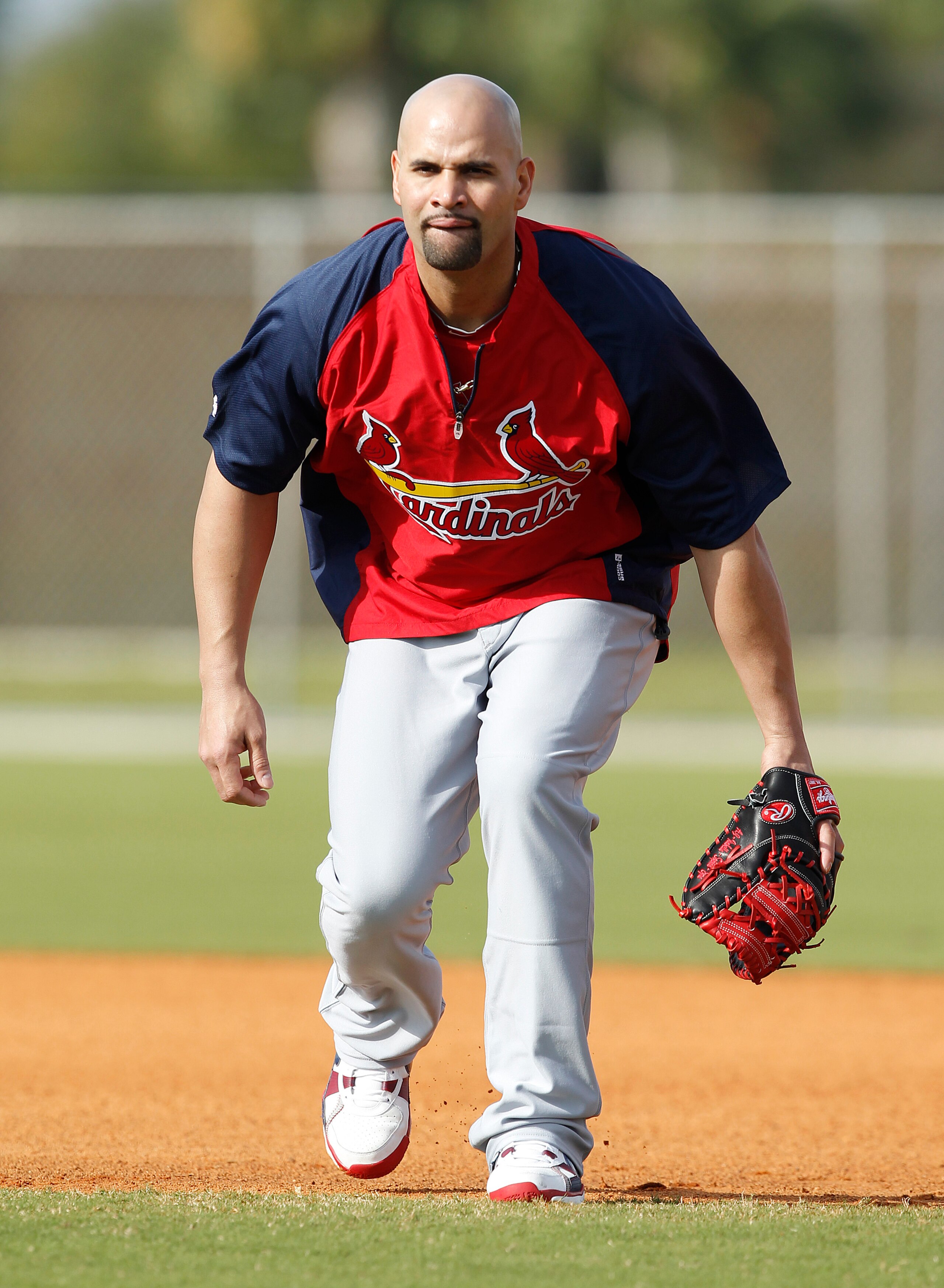 JUPITER, FL - FEBRUARY 17: Albert Pujols # 5 of the St. Louis Cardinals takes fielding practice at Roger Dean Stadium on February 17, 2011 in Jupiter, Florida. (Photo by Joel Auerbach/Getty Images)