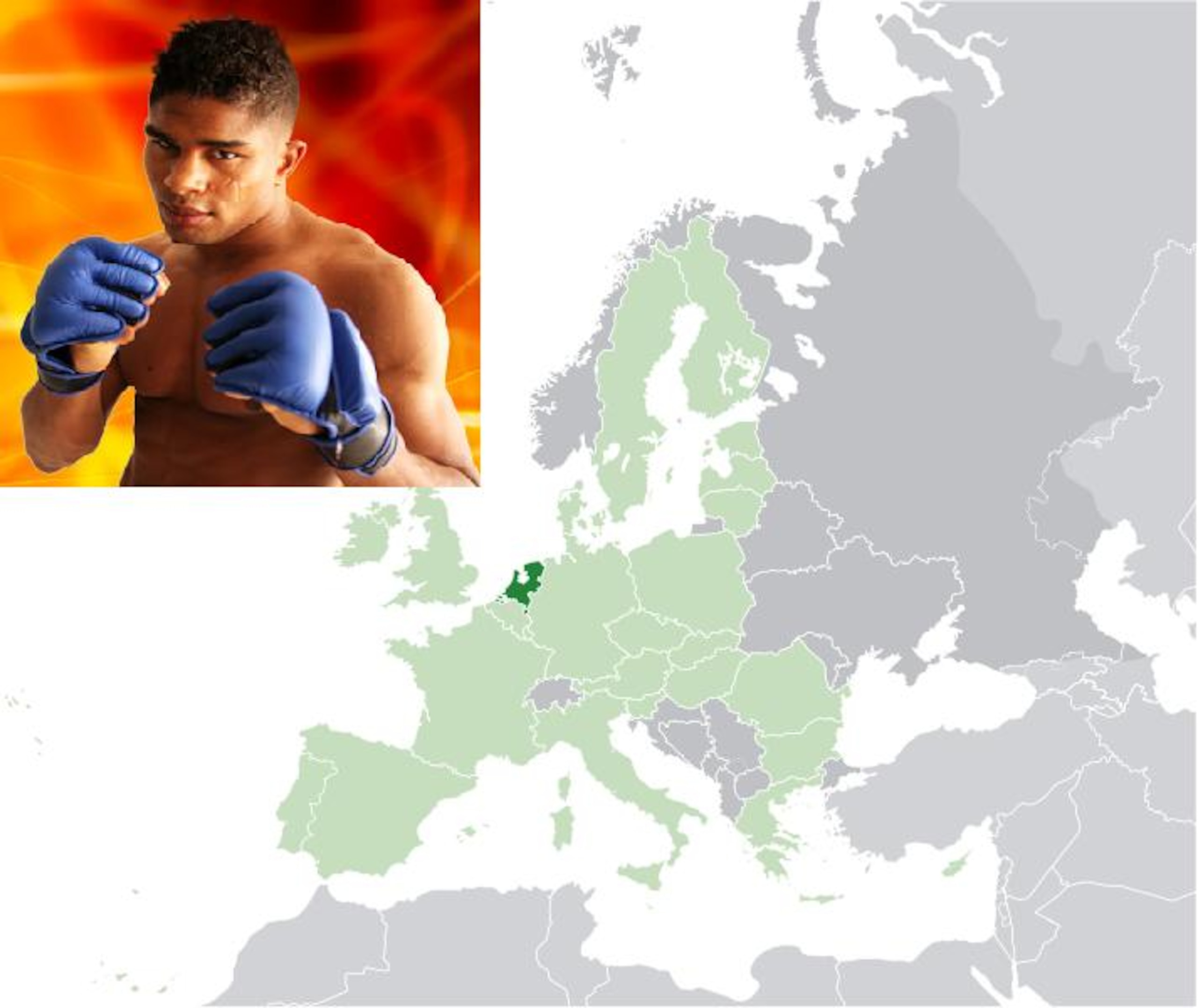 Alistair Overeem of the Netherlands Alistair Overeem of the Netherlands