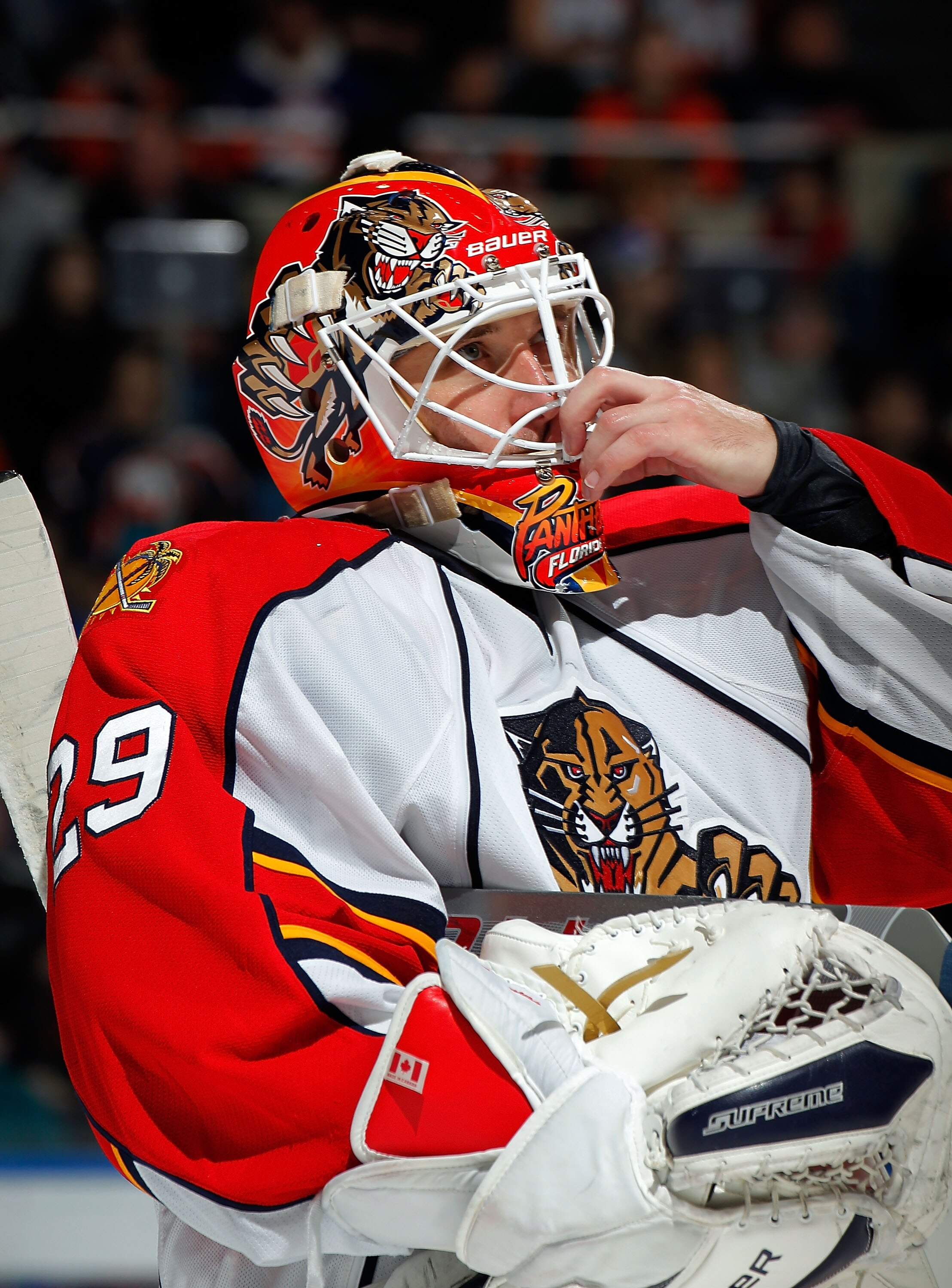 UNIONDALE, NY - FEBRUARY 21:  Goalie Tomas Vokoun #29 of the Florida Panthers fixes his mask during an NHL hockey game against the New York Islanders at the Nassau Coliseum on February 21, 2011 in Uniondale, New York.  (Photo by Paul Bereswill/Getty Image
