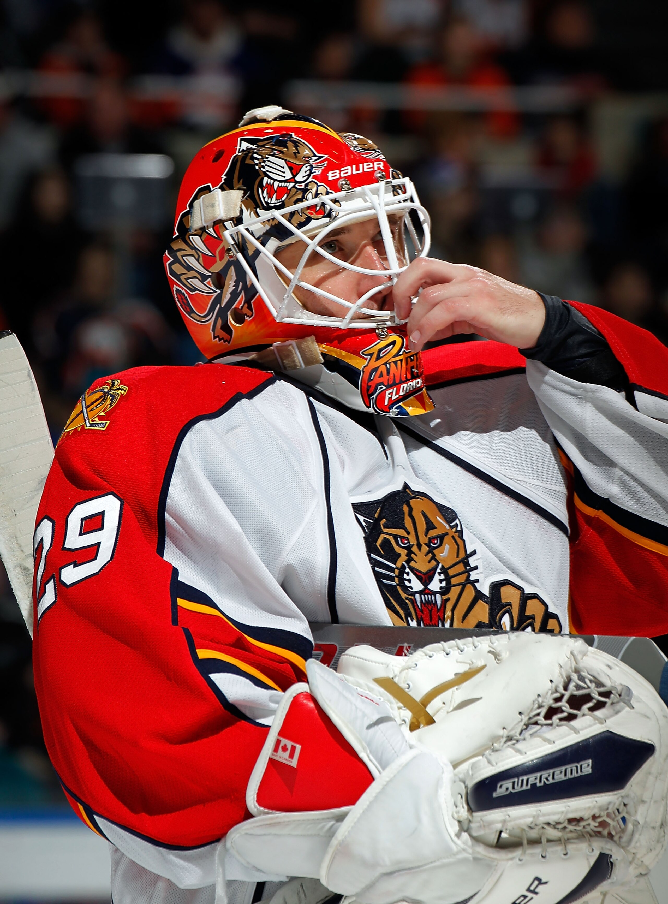 UNIONDALE, NY - FEBRUARY 21:  Goalie Tomas Vokoun #29 of the Florida Panthers fixes his mask during an NHL hockey game against the New York Islanders at the Nassau Coliseum on February 21, 2011 in Uniondale, New York.  (Photo by Paul Bereswill/Getty Image