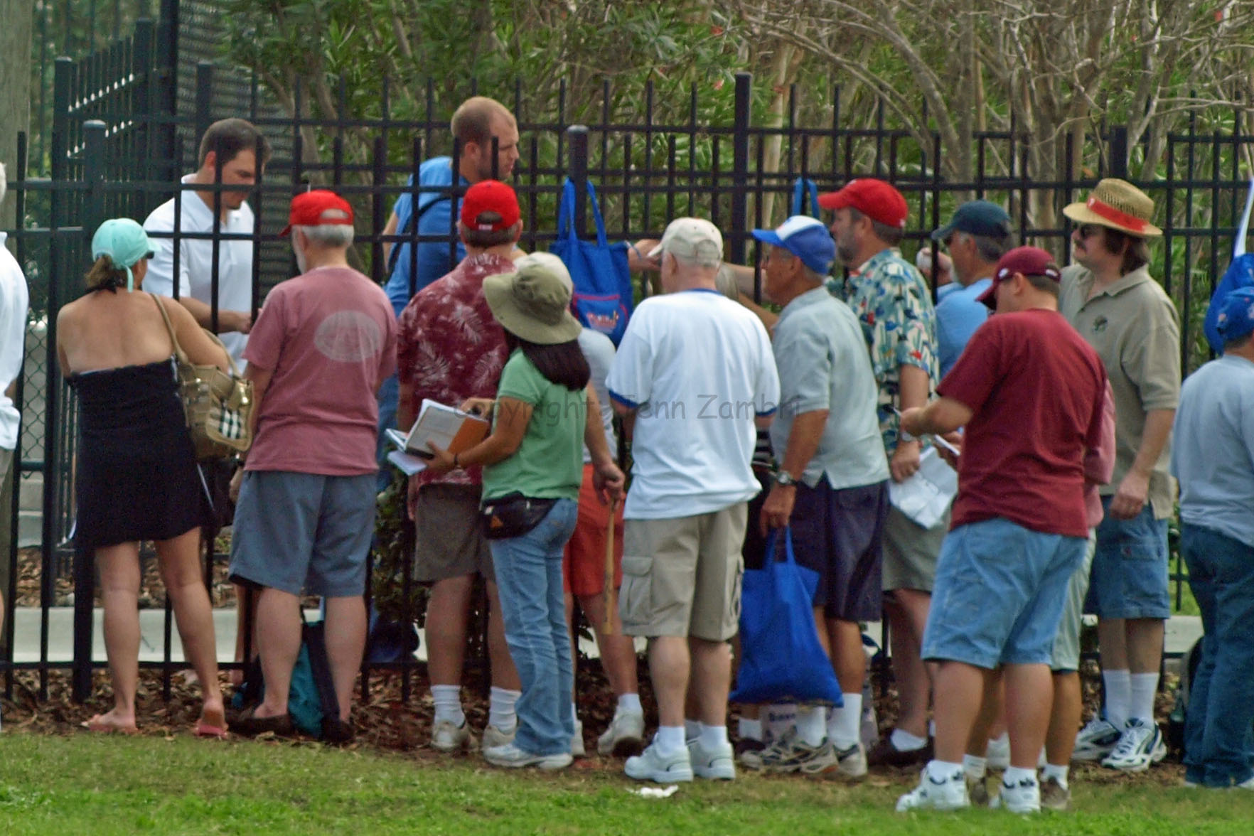 Collectors can obtain many player autographs at spring training