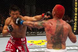 Chris Leben landing shot after shot on Sexyama