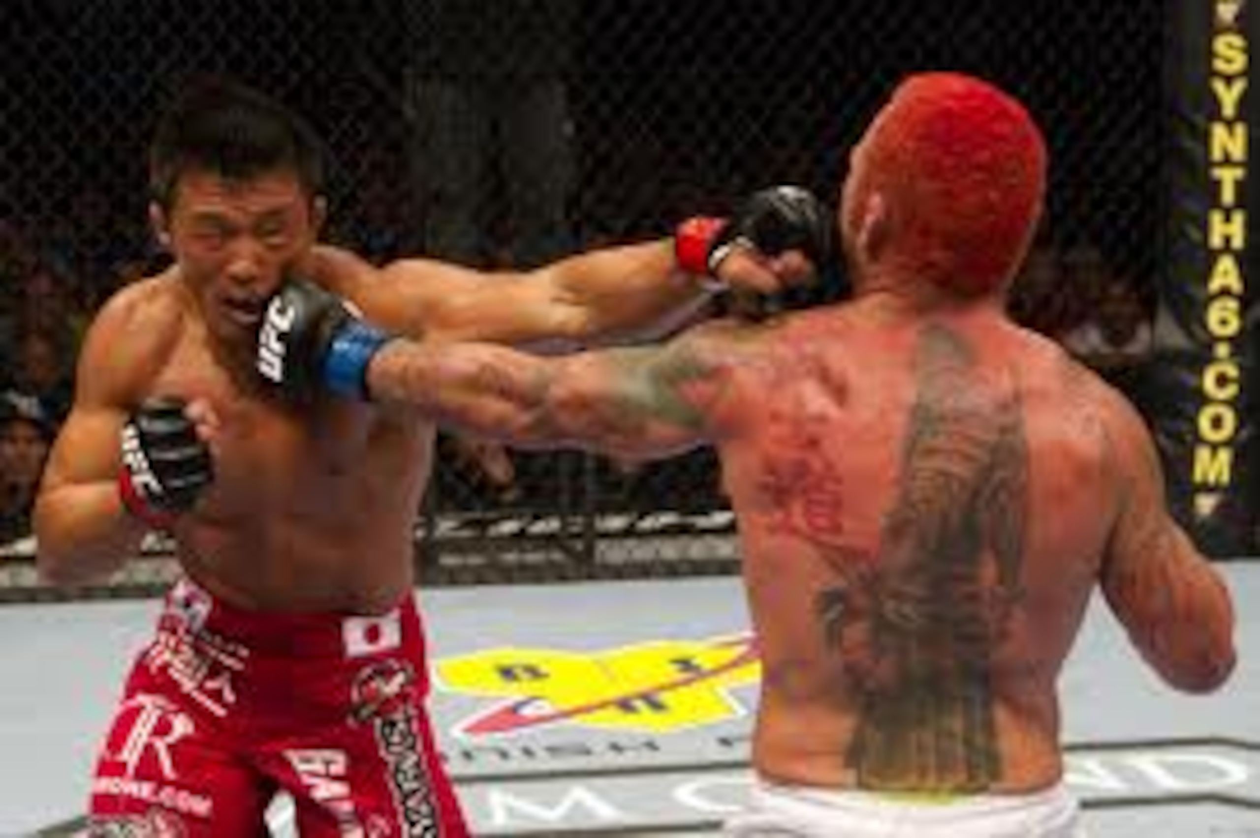 Chris Leben landing shot after shot on Sexyama