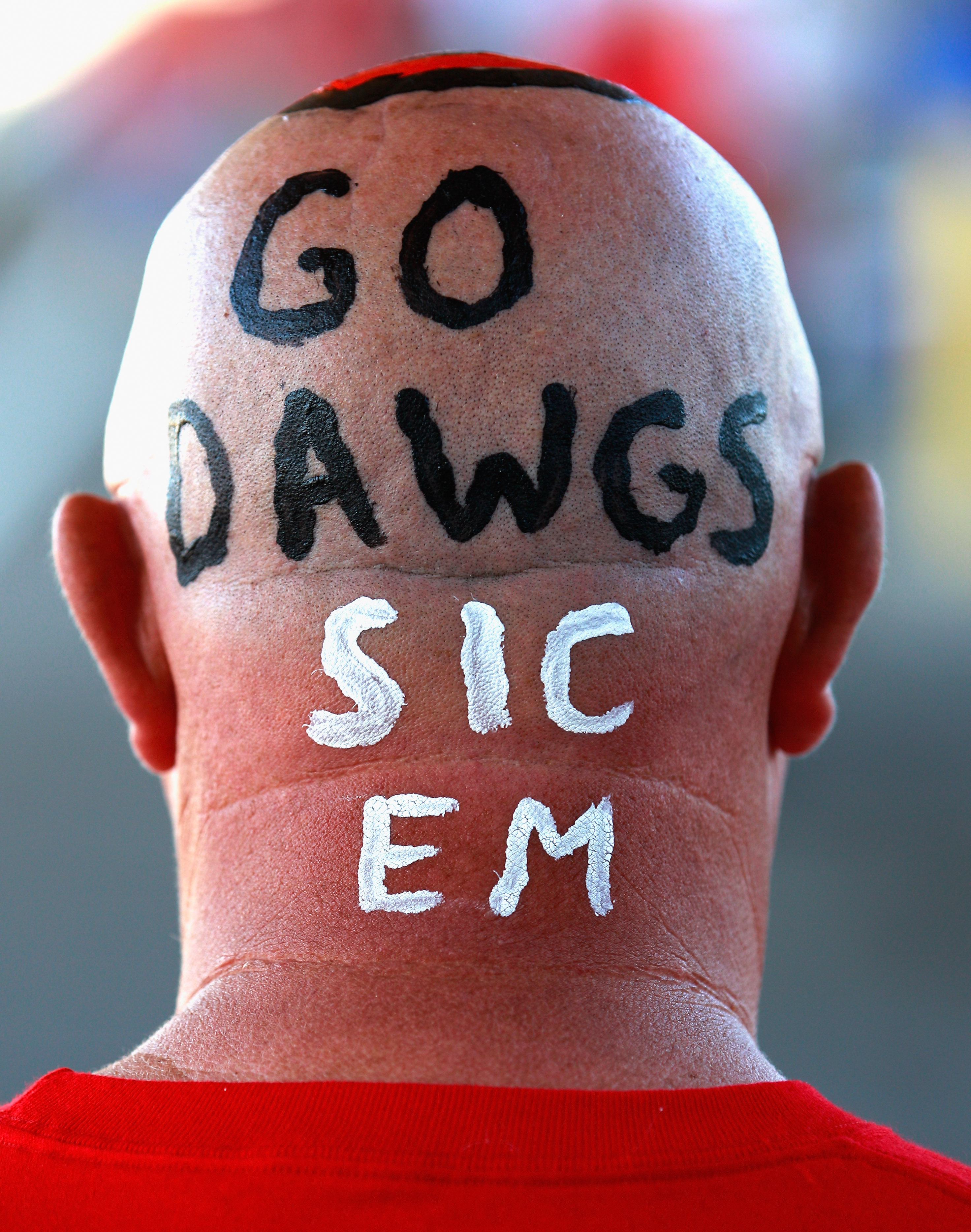 JACKSONVILLE, FL - OCTOBER 30:  A fan shows support for the Georgia Bulldogs prior to the game against the Florida Gators at EverBank Field on October 30, 2010 in Jacksonville, Florida.  (Photo by Sam Greenwood/Getty Images)