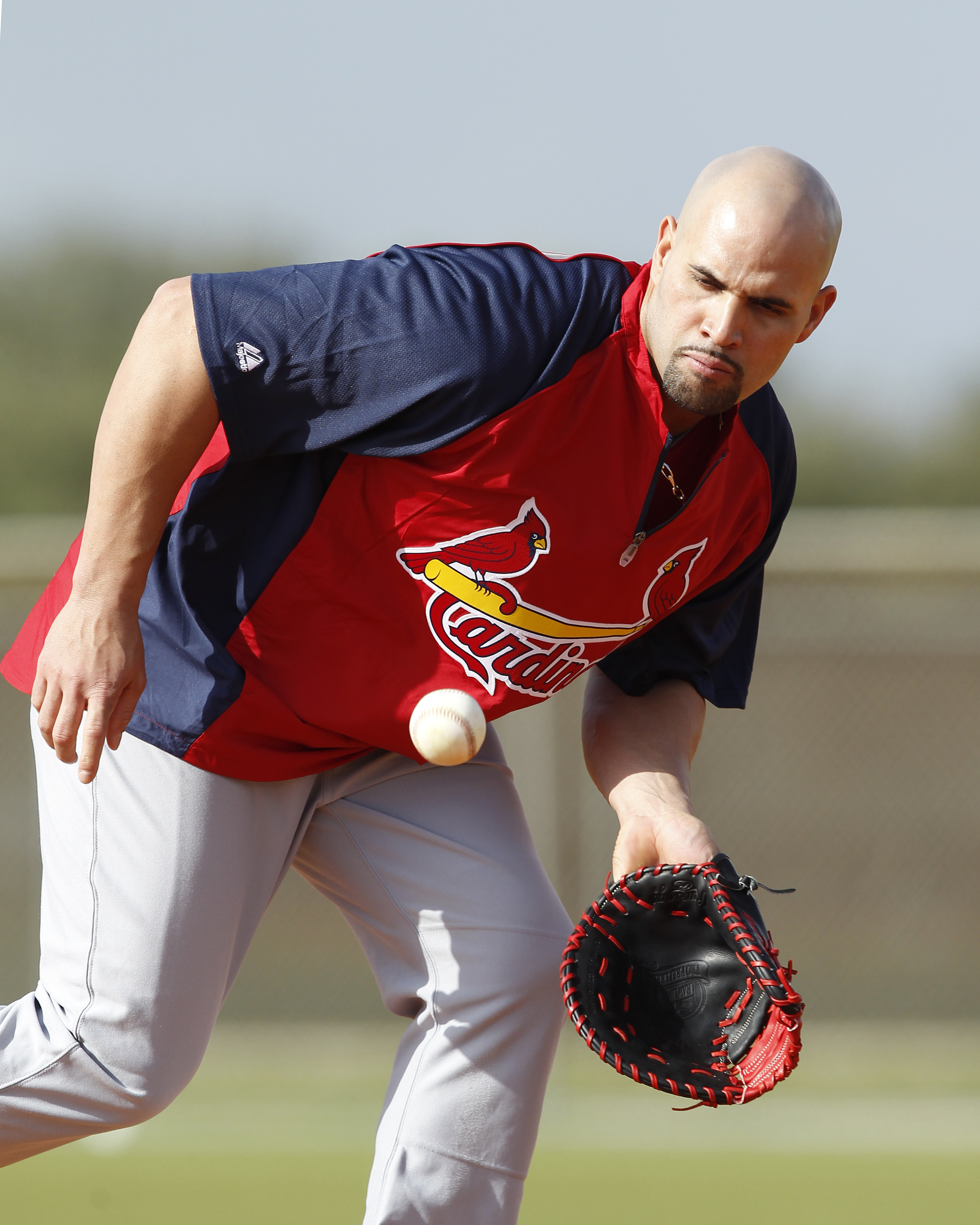 St. Louis Cardinals MLB Majestic Matt Holliday #7 Double Sided T