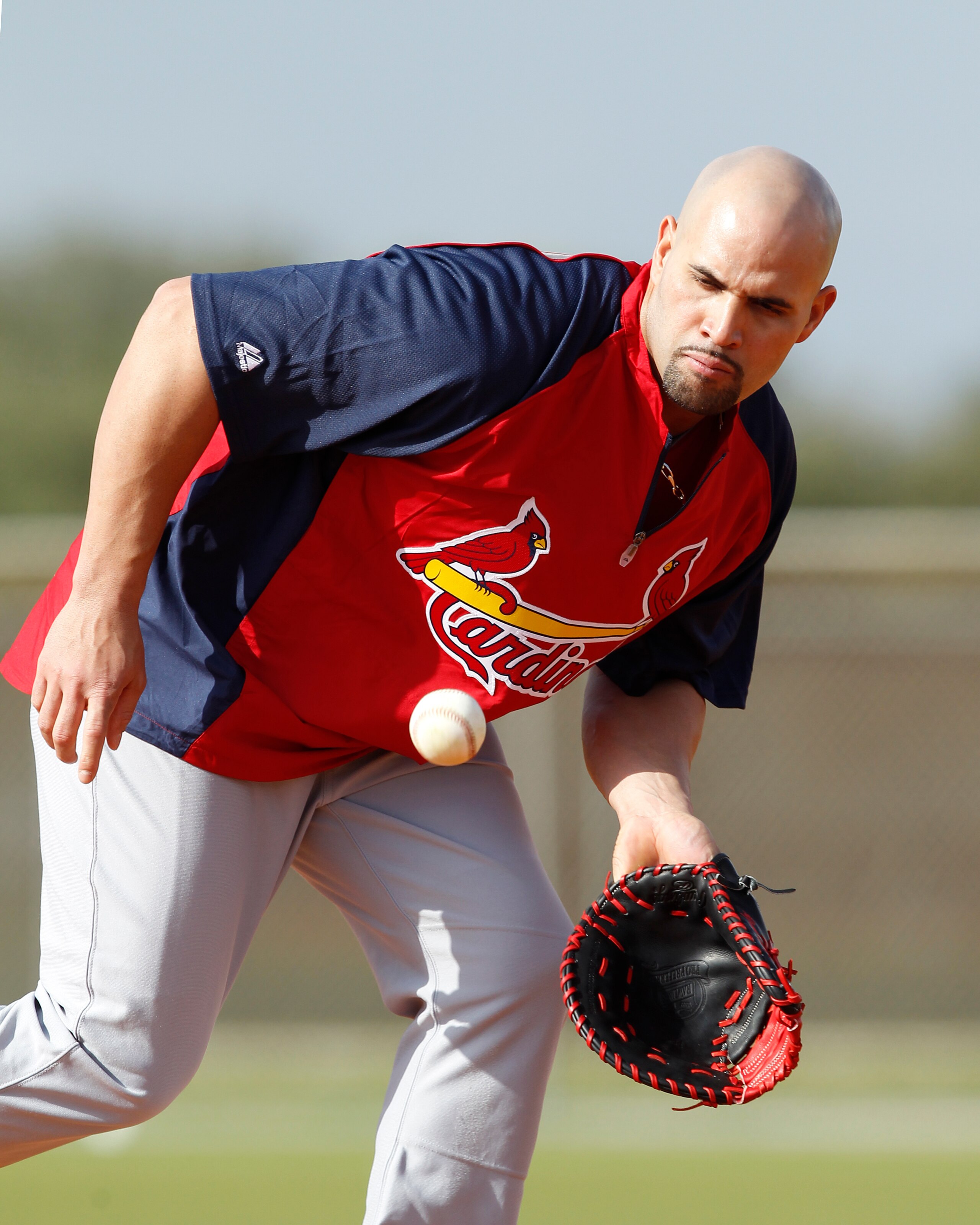 JUPITER, FL - FEBRUARY 17: Albert Pujols #5 of the St. Louis Cardinals fields the ball during practice at Roger Dean Stadium on February 17, 2011 in Jupiter, Florida. (Photo by Joel Auerbach/Getty Images)