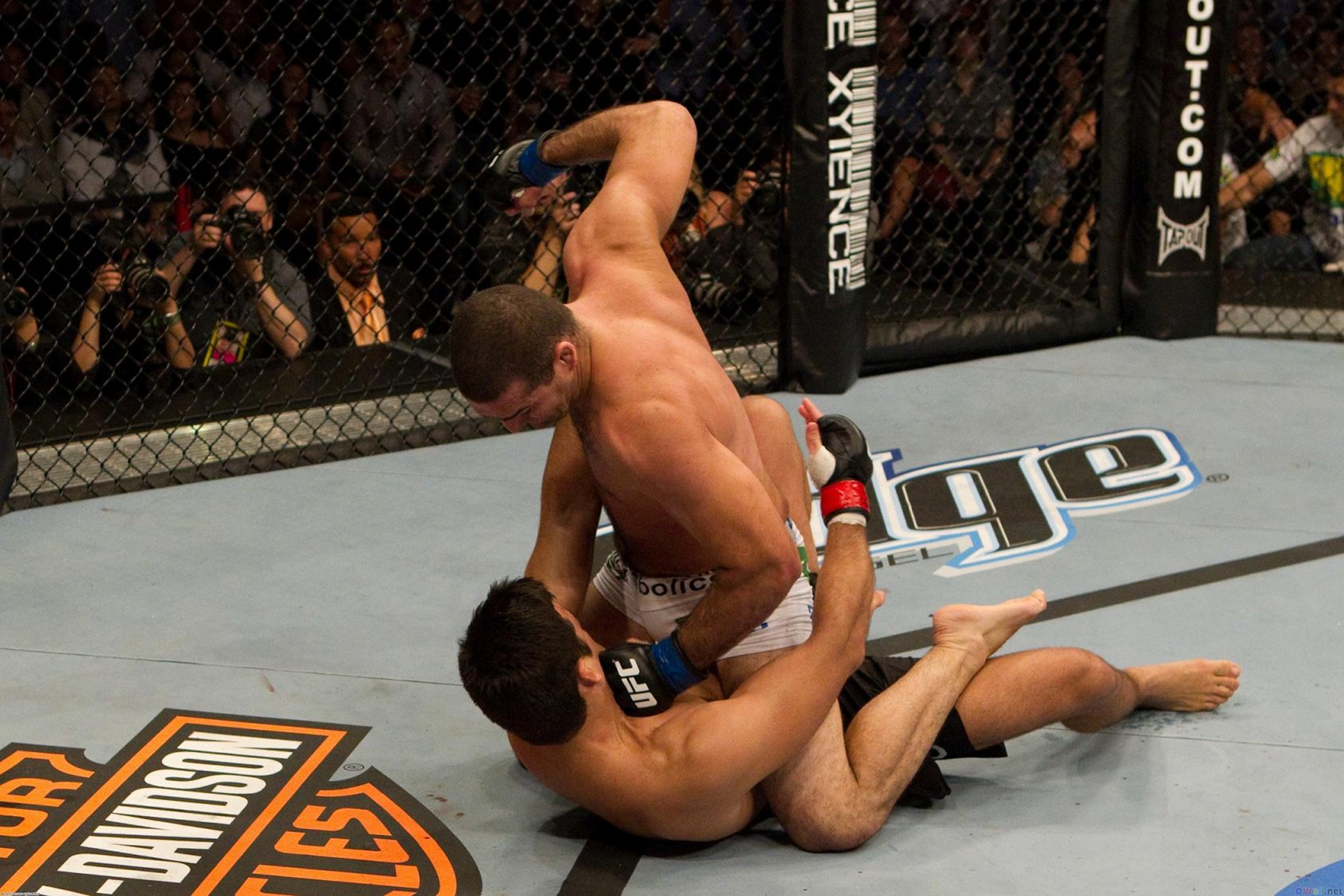 Shogun pounds out previously unbeaten Lyoto Machida, claiming the UFC title and "best Light Heavyweight in the world" honors. Shogun pounds out previously unbeaten Lyoto Machida, claiming the UFC title and "best Light Heavyweight in the world" honors.