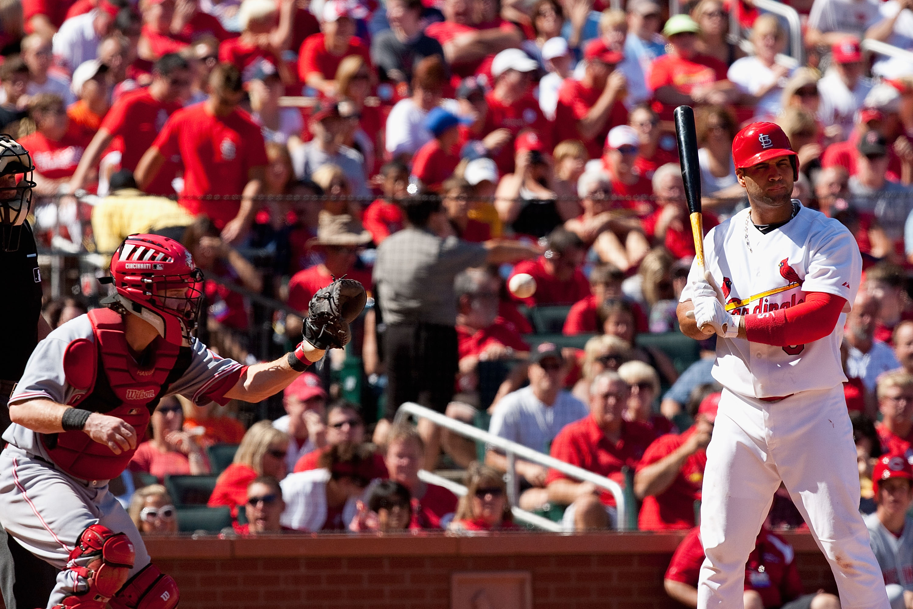 Opinion, Should the Cardinals have let Albert Pujolswalk
