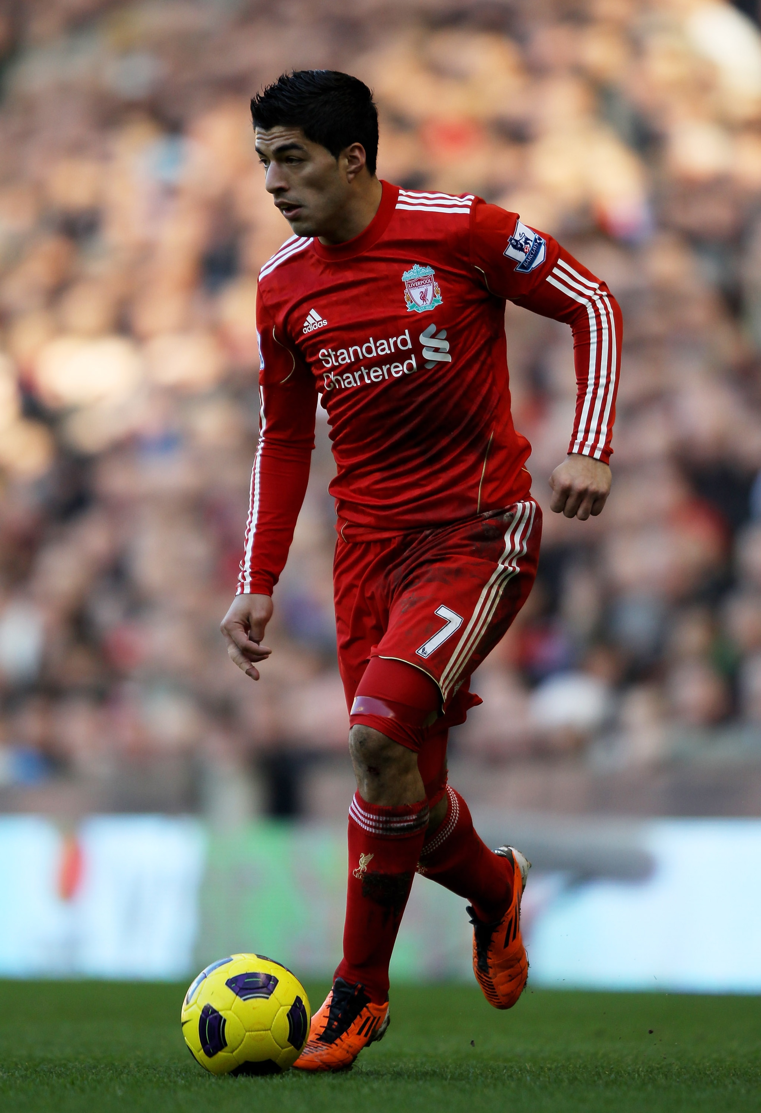 LIVERPOOL, ENGLAND - FEBRUARY 12:  Luis Suarez of Liverpool in action during the Barclays Premier League match between Liverpool and Wigan Athletic at Anfield on February 12, 2011 in Liverpool, England.  (Photo by Clive Brunskill/Getty Images)