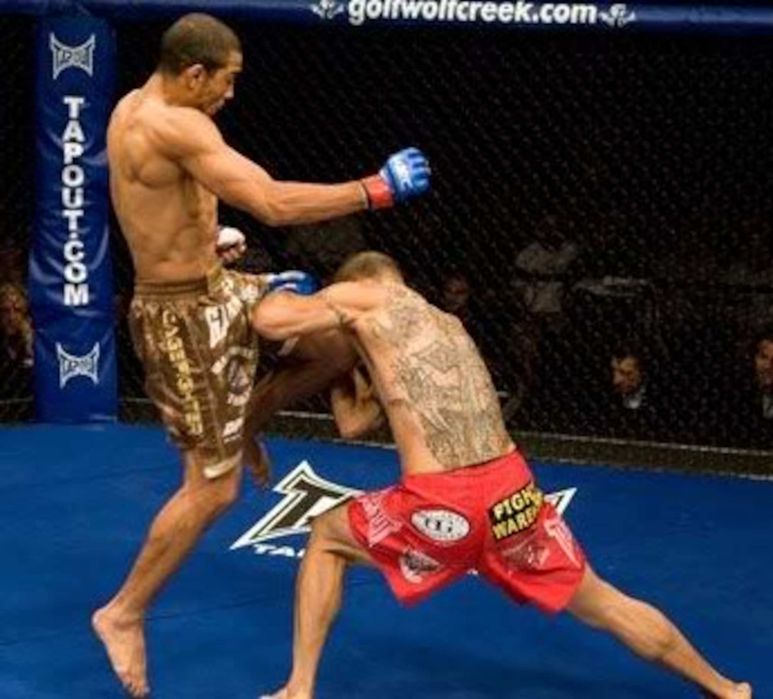 Jose Aldo's spectacular 8 second KO of Cub Swanson