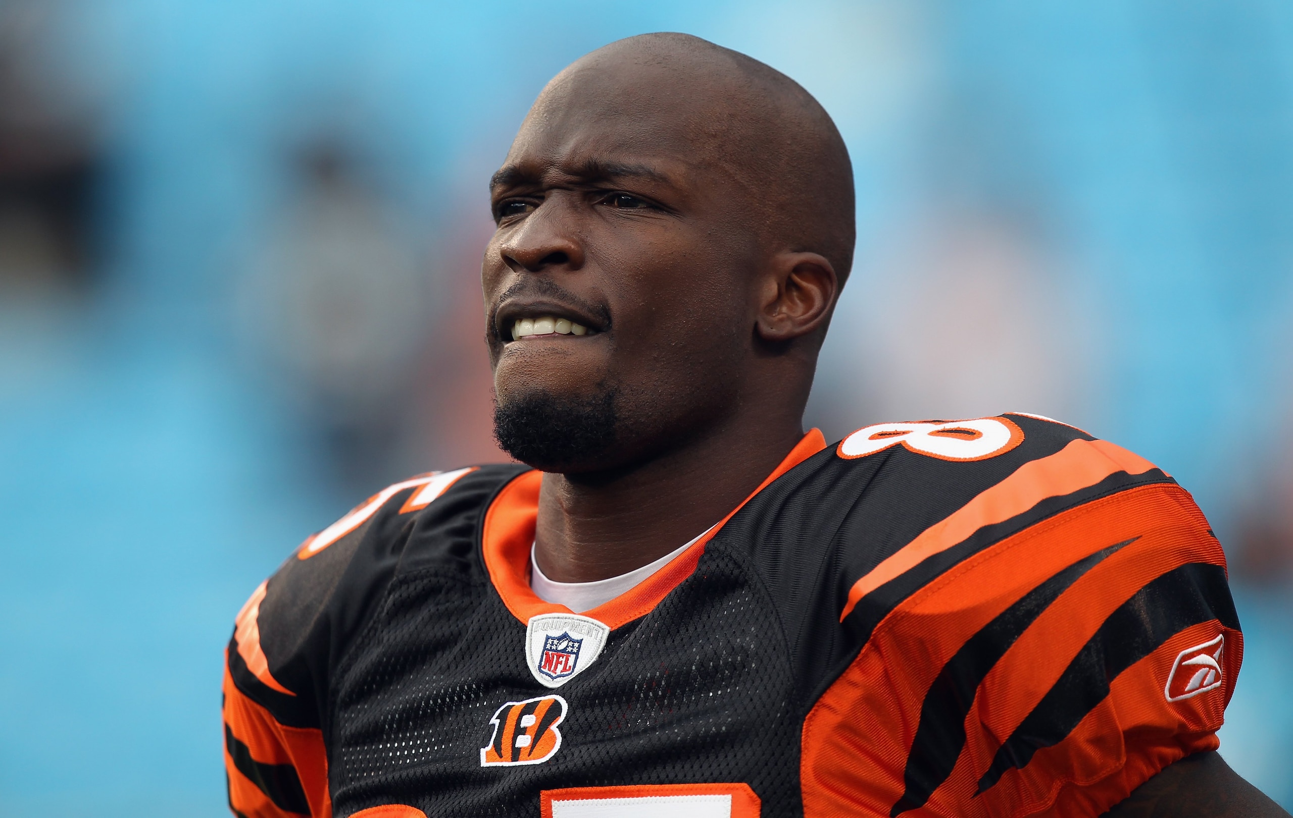CHARLOTTE, NC - SEPTEMBER 26:  Chad Ochocinco #85 of the Cincinnati Bengals during their game against the Carolina Panthers at Bank of America Stadium on September 26, 2010 in Charlotte, North Carolina.  (Photo by Streeter Lecka/Getty Images)