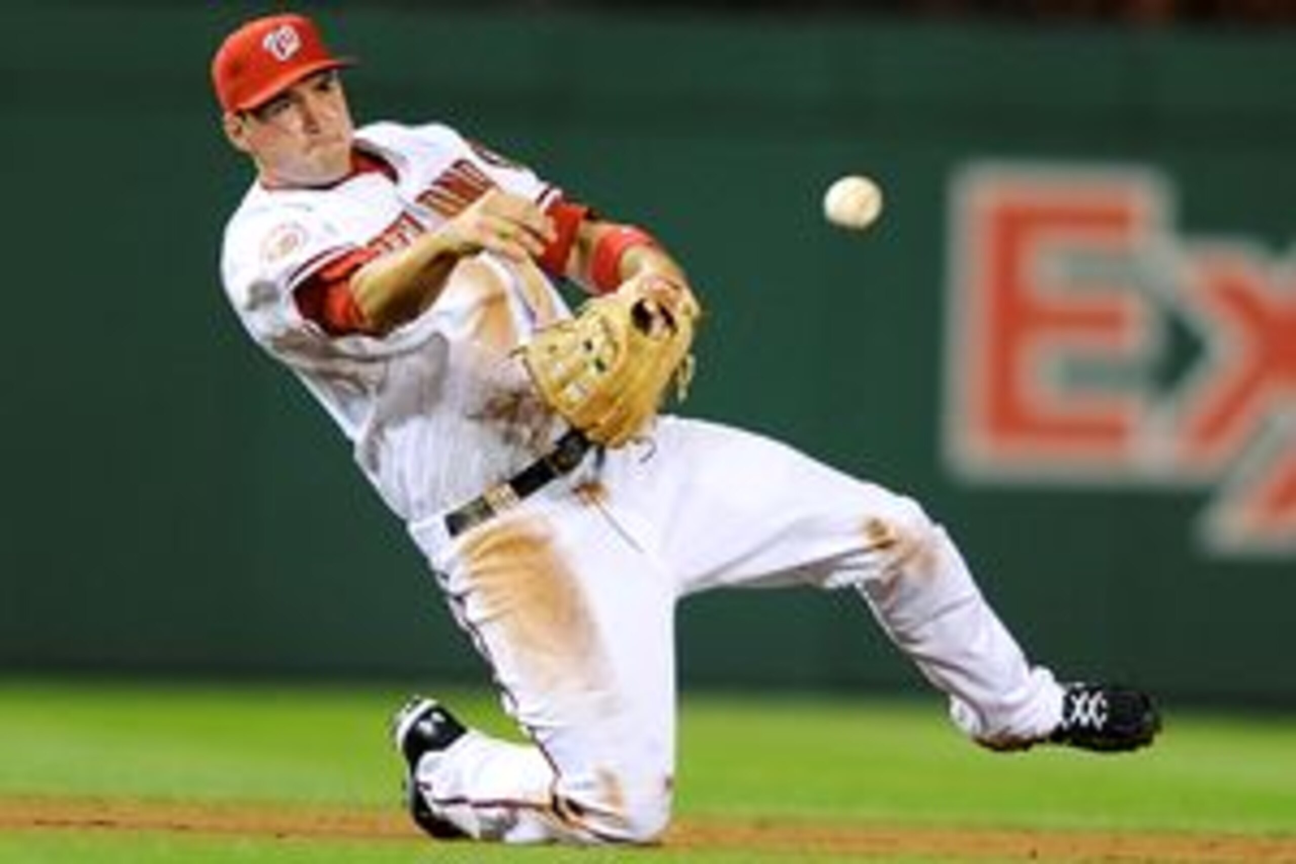 Roy Halladay of the Phillies