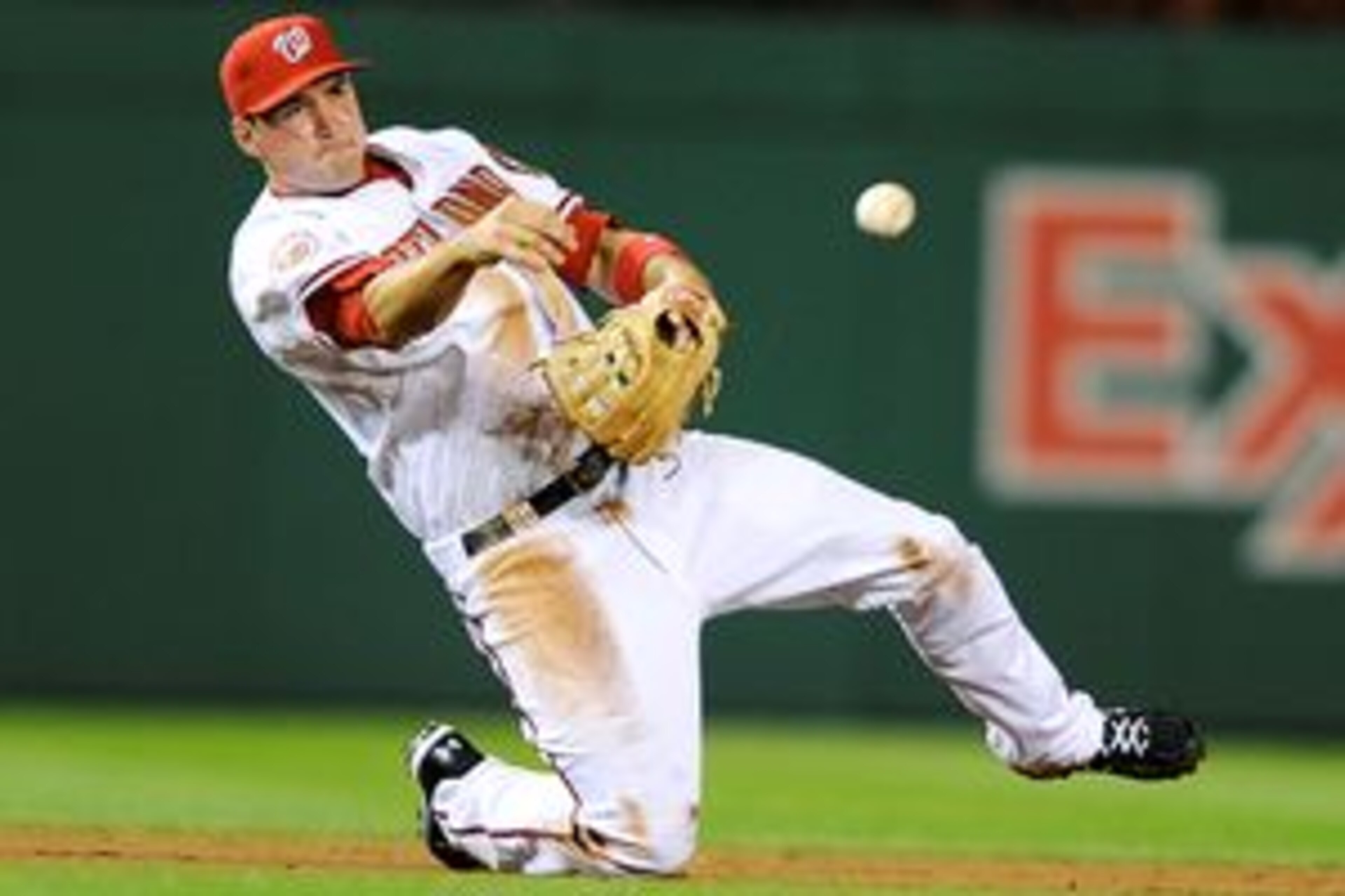 Roy Halladay of the Phillies