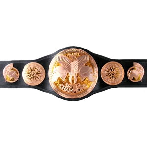 Ensomhed Menda City Dingy Golden V: The History of the WWE Tag Team Championships | Bleacher Report |  Latest News, Videos and Highlights