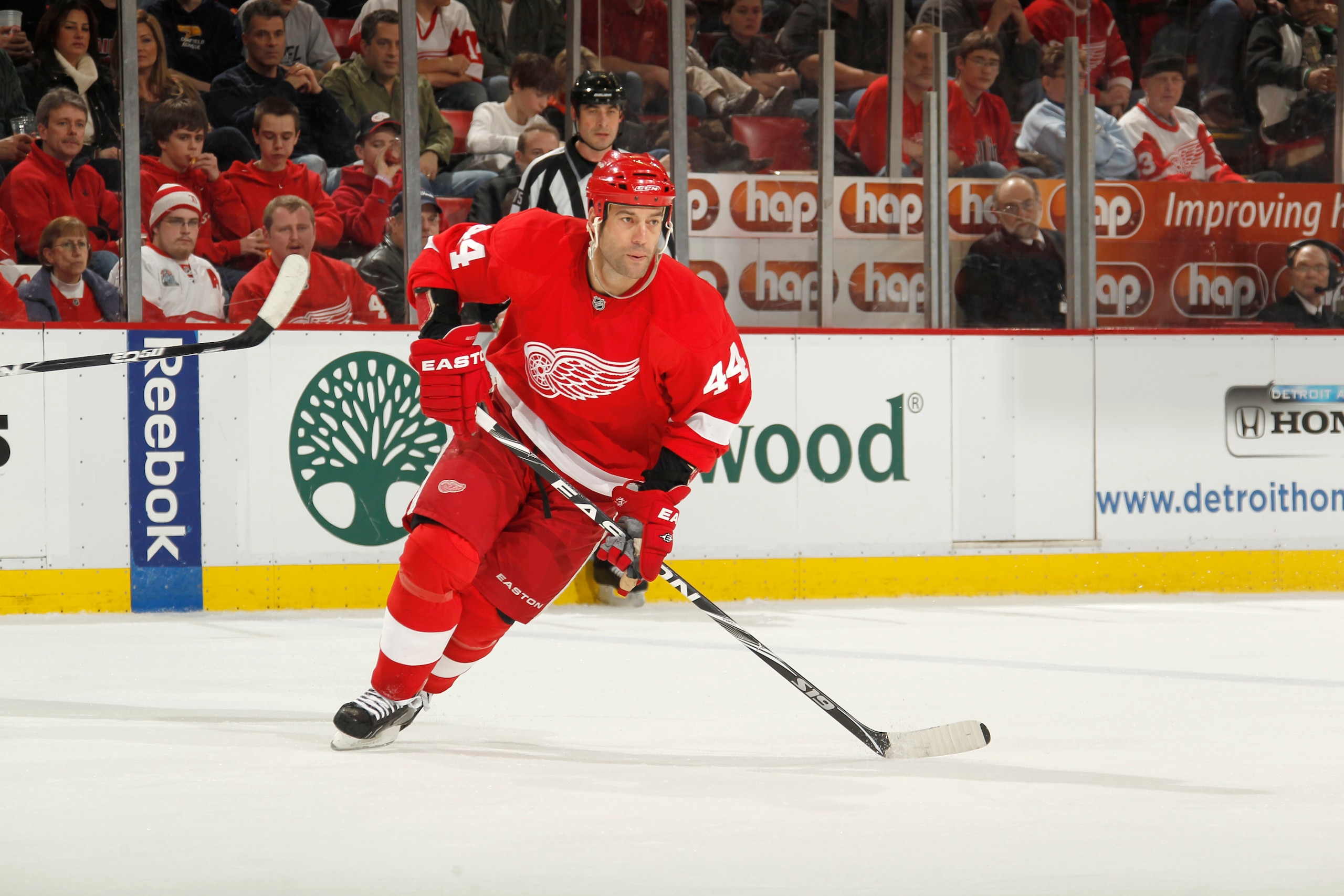 DETROIT, MI - FEBRUARY 24:  Todd Bertuzzi #44 of the Detroit Red Wings skates against the Dallas Stars on February 24, 2011 at Joe Louis Arena in Detroit, Michigan.  (Photo by Gregory Shamus/Getty Images)