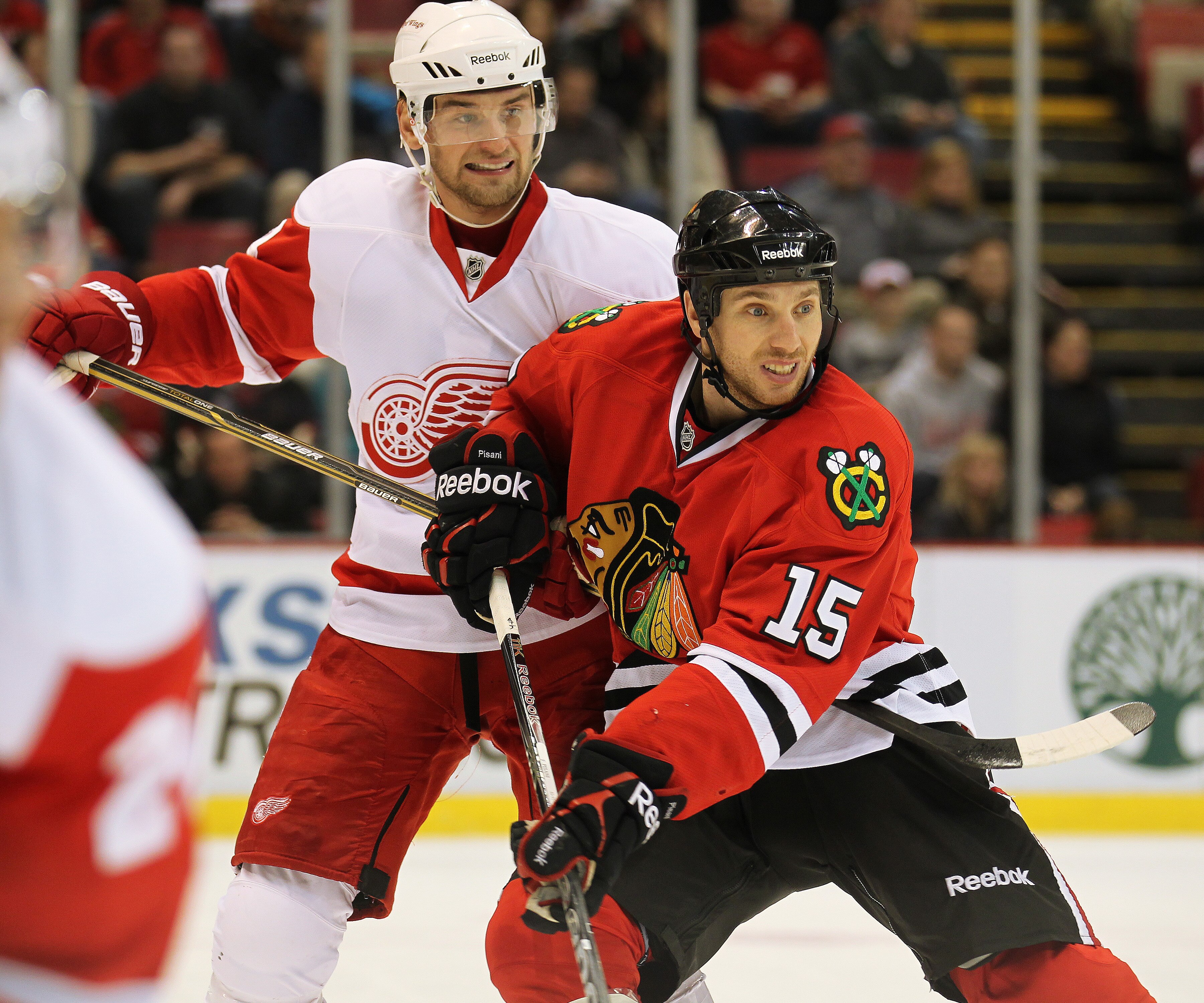 DETROIT, MI - JANUARY 22:  Fernando Pisani #15 of the Chicago Black Hawks battles with Jakub Kindl #4 of the Detroit Red Wings in a game on January 22, 2011 at the Joe Louis Arena in Detroit, Michigan. The Hawks defeated the Wings 4-1. (Photo by Claus And