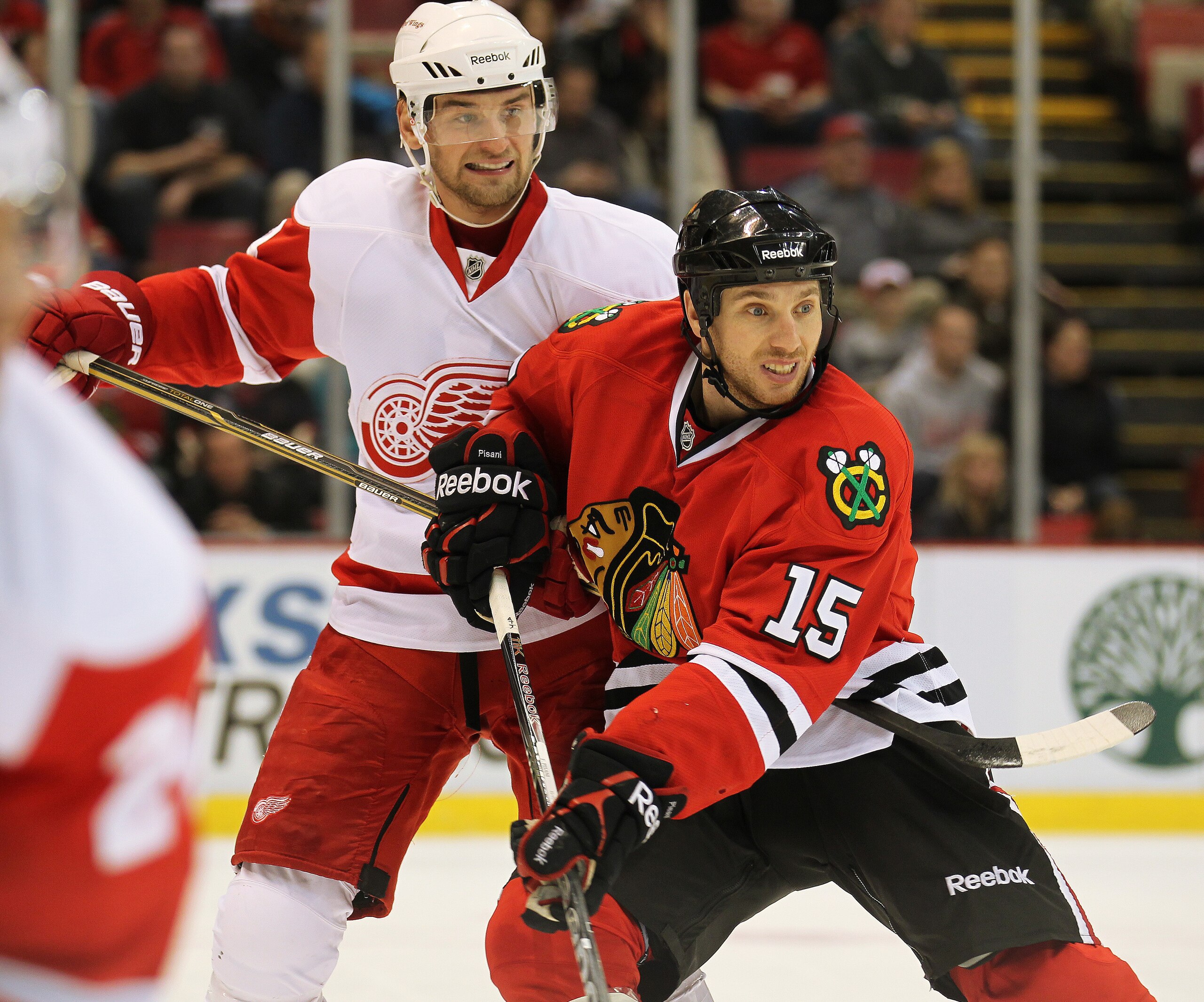 DETROIT, MI - JANUARY 22:  Fernando Pisani #15 of the Chicago Black Hawks battles with Jakub Kindl #4 of the Detroit Red Wings in a game on January 22, 2011 at the Joe Louis Arena in Detroit, Michigan. The Hawks defeated the Wings 4-1. (Photo by Claus And