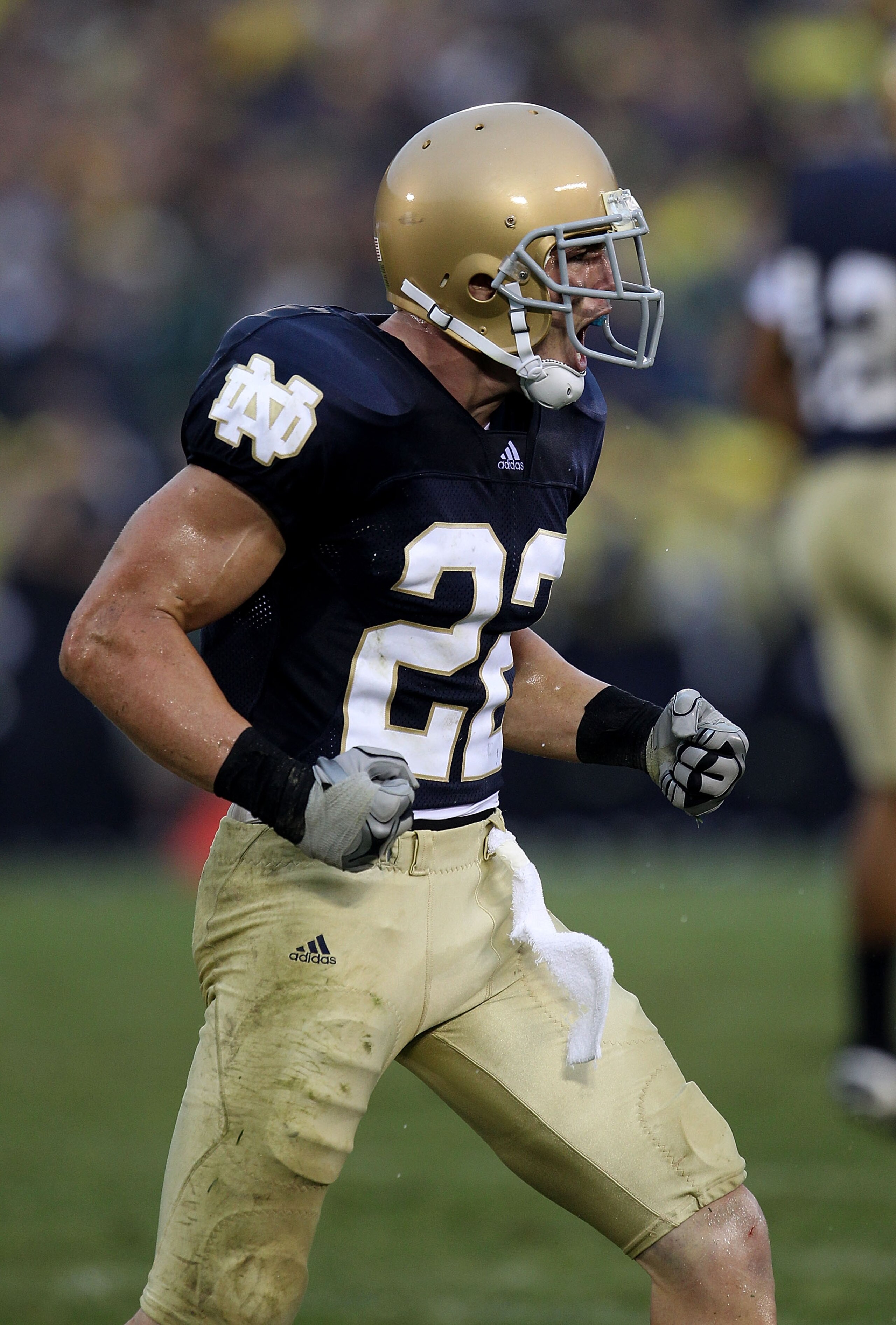 SOUTH BEND, IN - SEPTEMBER 11: Harrison Smith #22 of the Notre Dame Fighting Irish celebrates a defensive play against the Michigan Wolverines at Notre Dame Stadium on September 11, 2010 in South Bend, Indiana. Michigan defeated Notre Dame 28-24.  (Photo