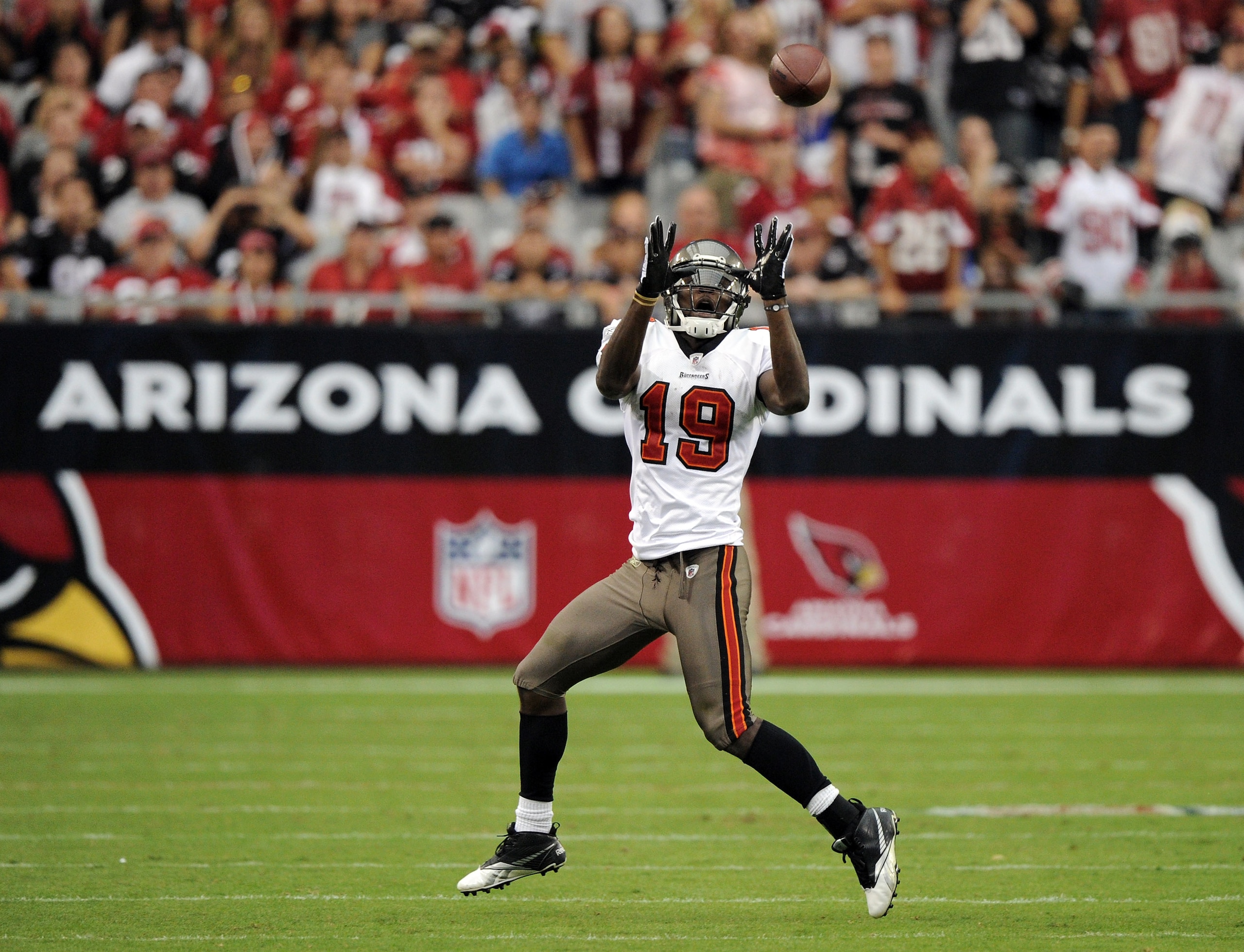 GLENDALE, AZ - OCTOBER 31:  Mike Williams #19 of the Tampa Bay Buccaneers makes a catch against the Arizona Cardinals at University of Phoenix Stadium on October 31, 2010 in Glendale, Arizona.  (Photo by Harry How/Getty Images)