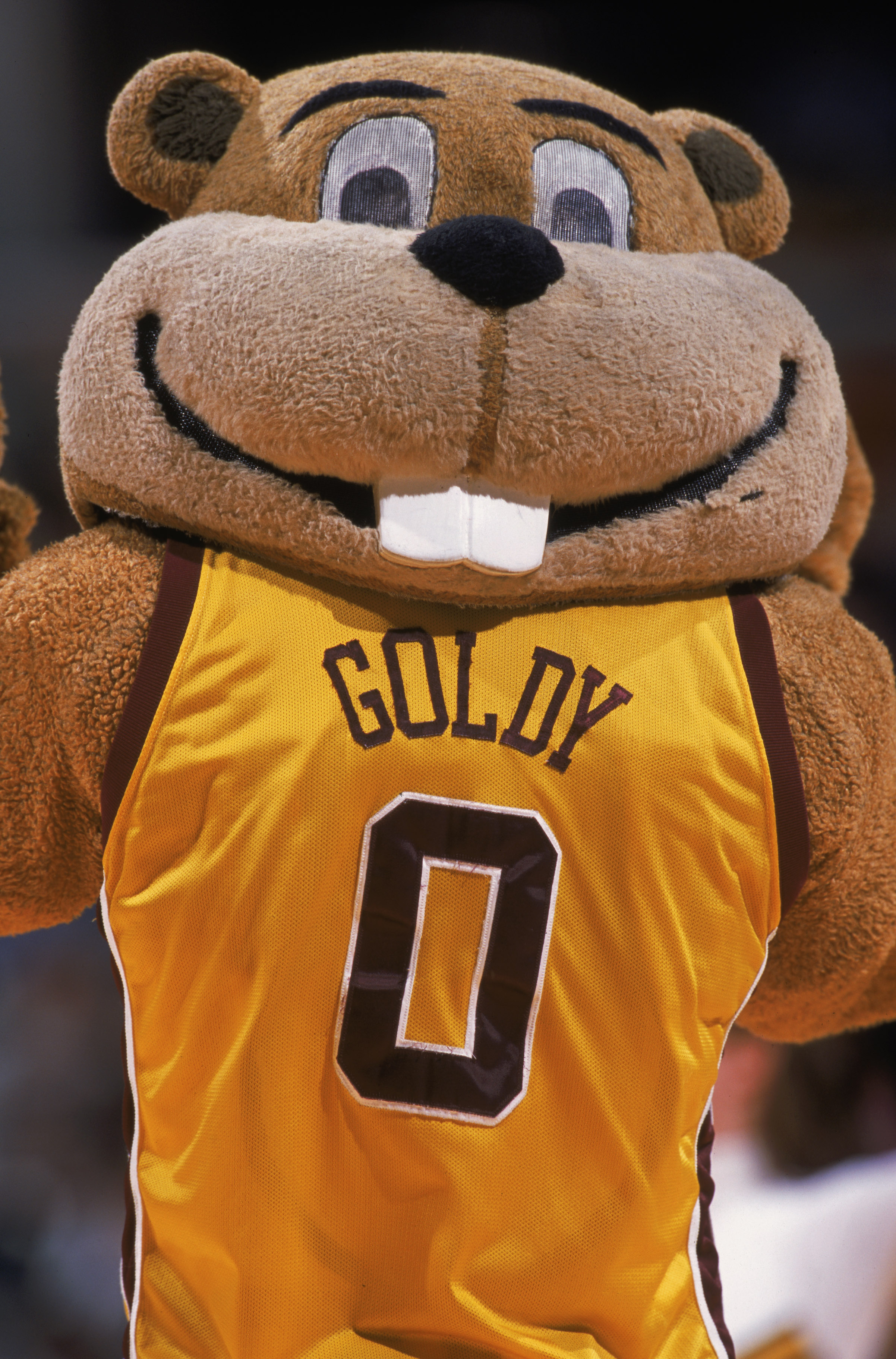Minnesota Golden Gopher Basketball What Went Wrong? News, Scores
