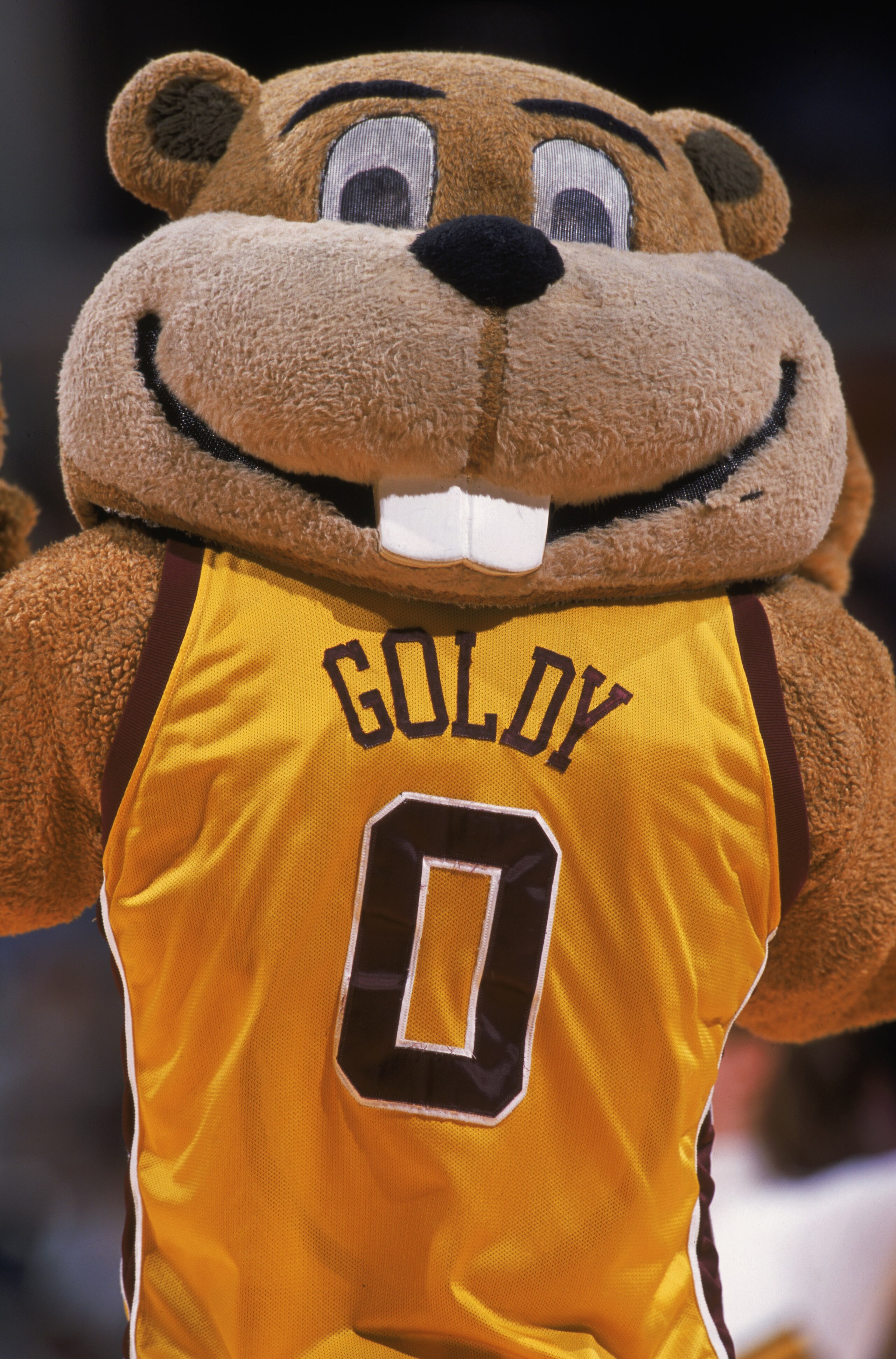 08 Mar 2002:  The Minnesota Golden Gophers mascot Goldy #0 can''t get his head on straight during game seven of the BIG 10 Tournament against the Illinois Fighting Illini at the Conseco Fieldhouse in Indianapolis, Indiana. The Fighting Illini defeated the