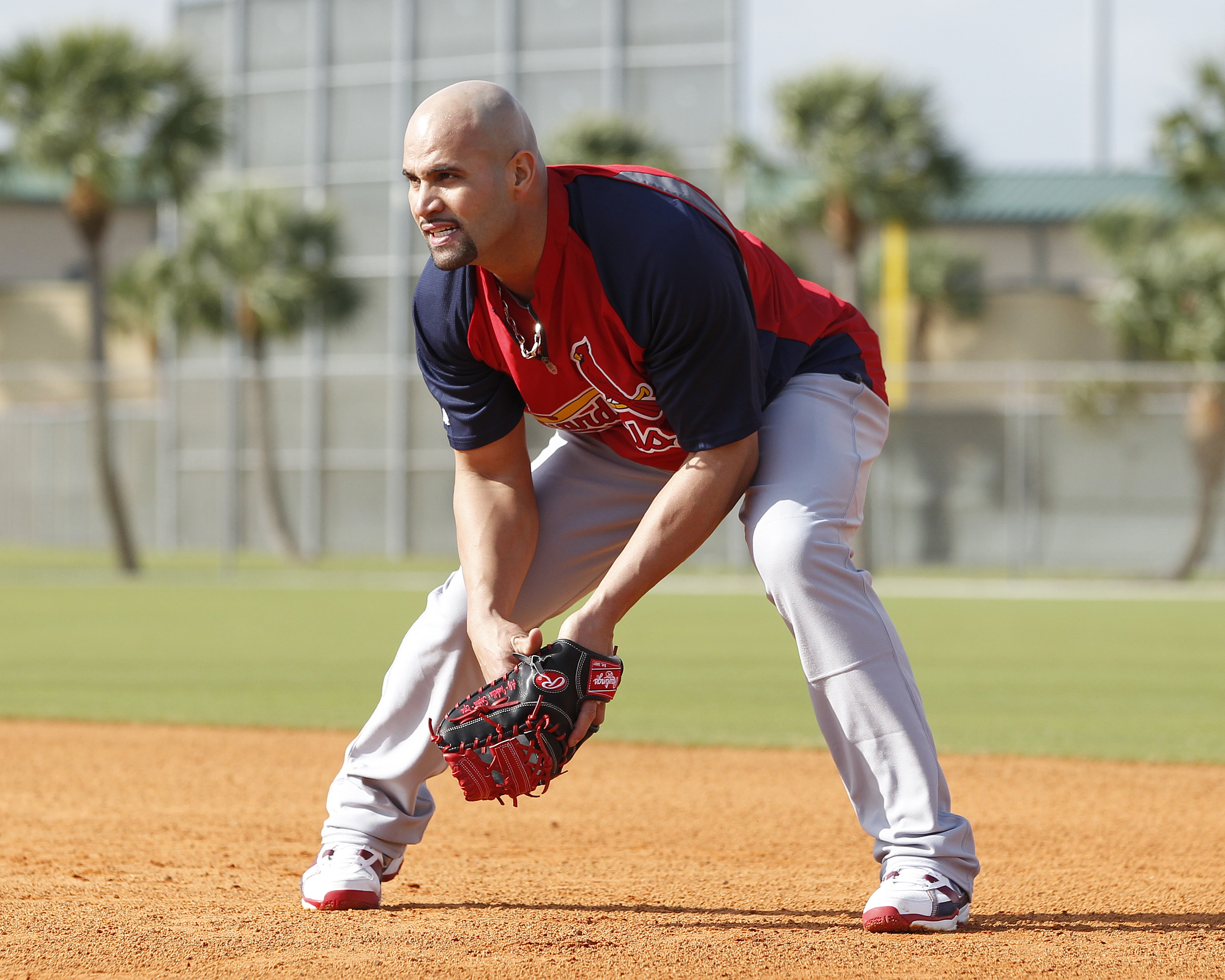 Albert Pujols: 10 Creative Contract Clauses to Keep Prince Albert in St.  Louis, News, Scores, Highlights, Stats, and Rumors
