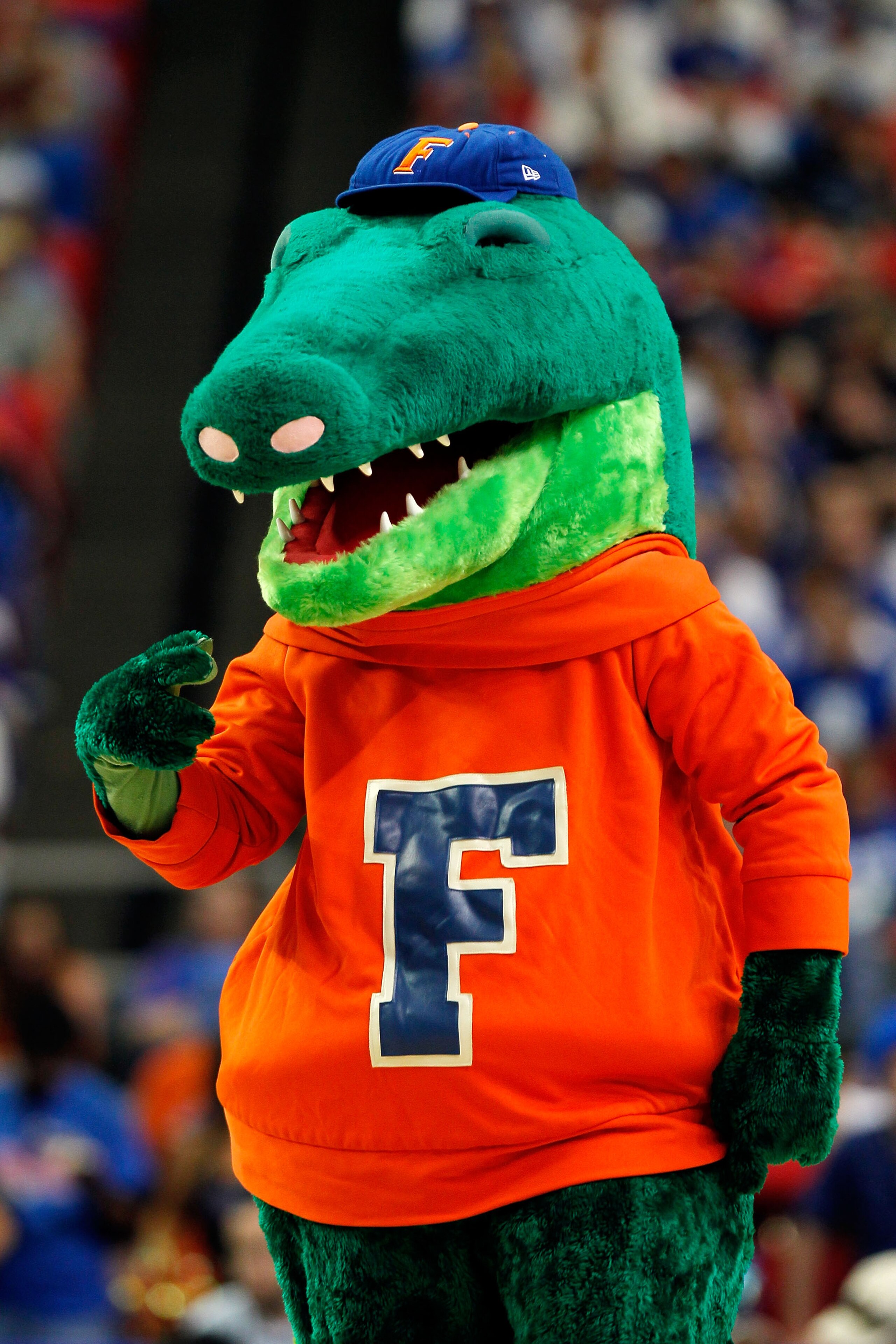 ATLANTA, GA - MARCH 12: Florida Gators mascot Albert entertains fans during their game against the Vanderbilt Commodores in the semifinals of the SEC Men's Basketball Tournament at Georgia Dome on March 12, 2011 in Atlanta, Georgia. (Photo by Kevin C. C ATLANTA, GA - MARCH 12: Florida Gators mascot Albert entertains fans during their game against the Vanderbilt Commodores in the semifinals of the SEC Men's Basketball Tournament at Georgia Dome on March 12, 2011 in Atlanta, Georgia. (Photo by Kevin C. C