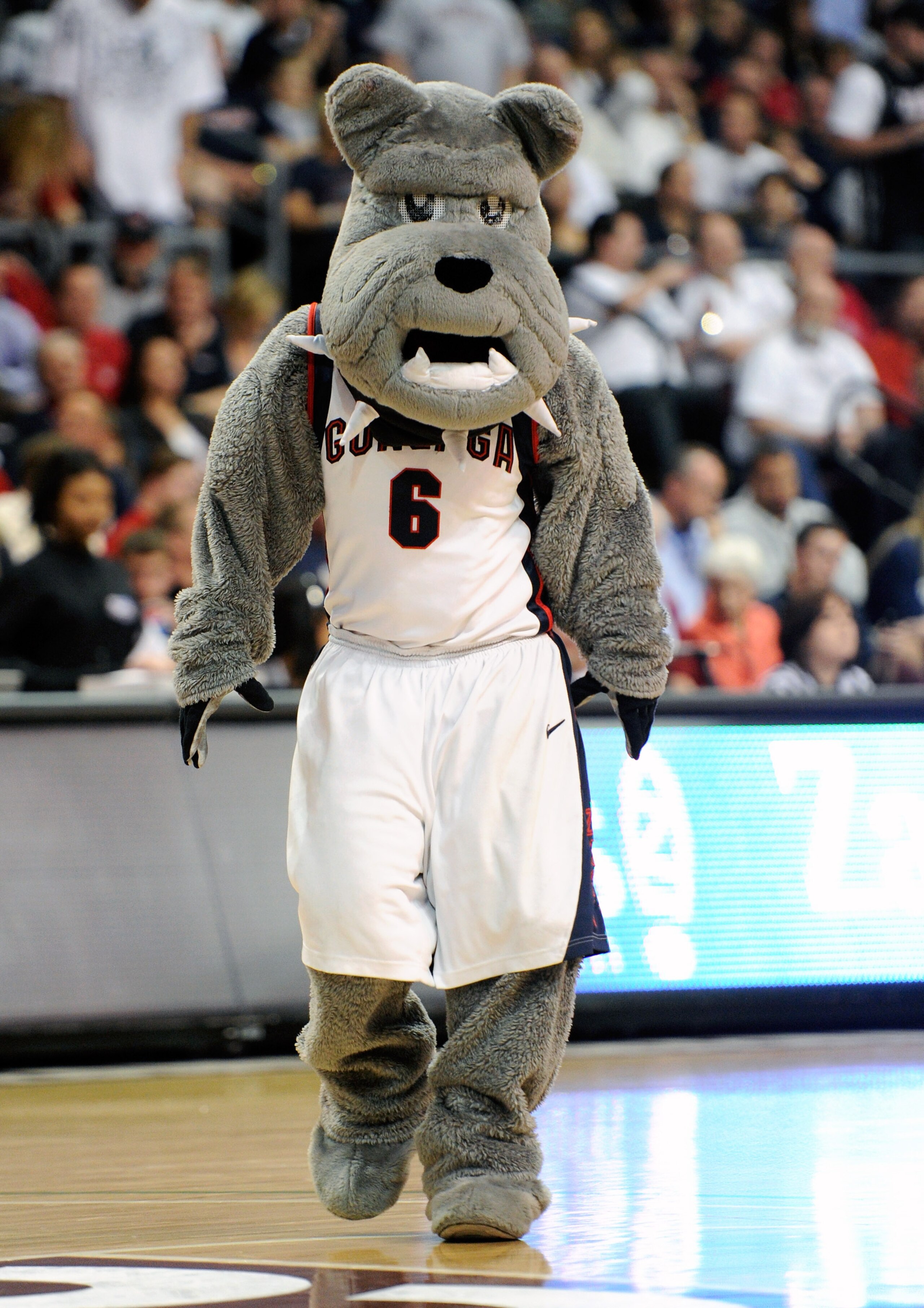 LAS VEGAS, NV - MARCH 07: Gonzaga Bulldogs mascot Spike the Bulldog appears on the court during the championship game of the Zappos.com West Coast Conference Basketball tournament against the Saint Mary's Gaels at the Orleans Arena March 7, 2011 in Las V LAS VEGAS, NV - MARCH 07: Gonzaga Bulldogs mascot Spike the Bulldog appears on the court during the championship game of the Zappos.com West Coast Conference Basketball tournament against the Saint Mary's Gaels at the Orleans Arena March 7, 2011 in Las V