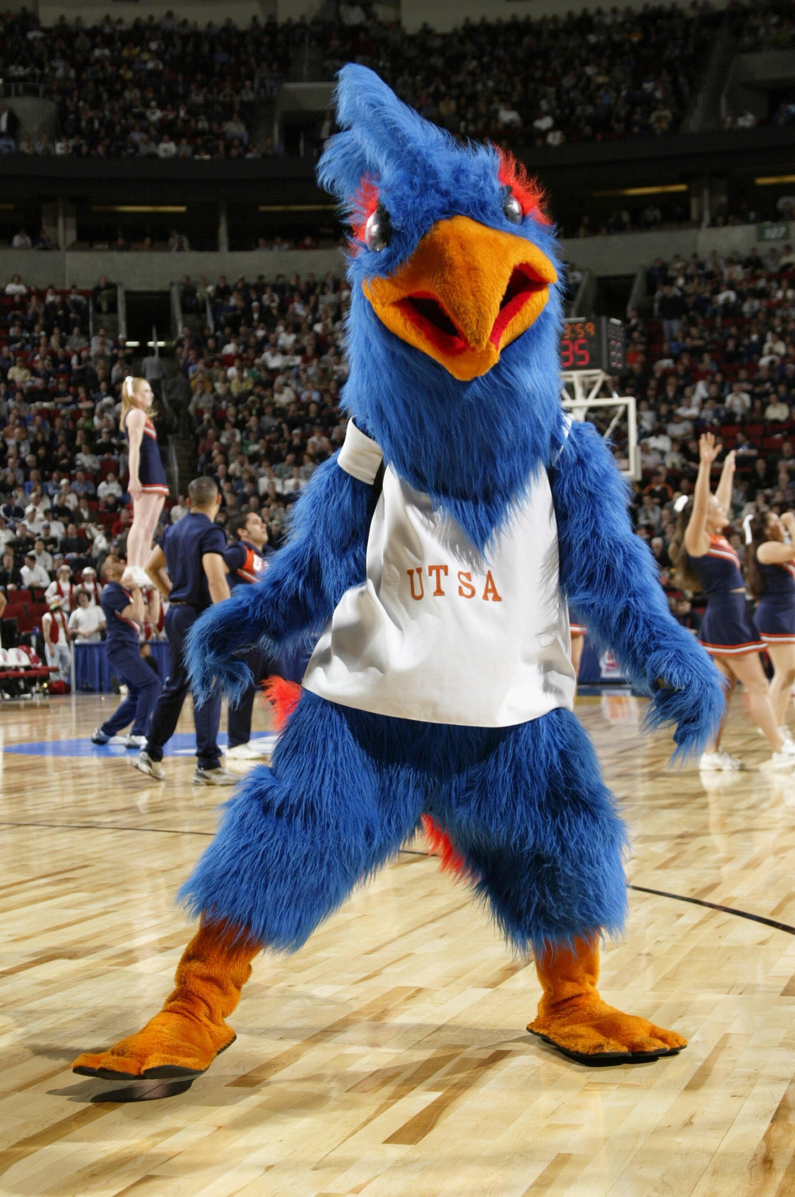 SEATTLE - MARCH 18:  The University of Texas at San Antonio Roadrunners mascot performs during an intermission in the NCAA Division I Men's Basketball Tournament against the Stanford University Cardinal at Key Arena on March 18, 2004 in Seattle, Washingto