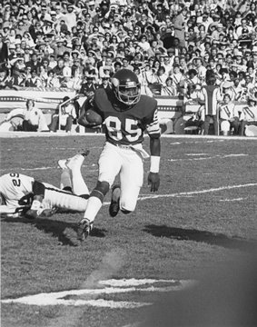 Minnesota Vikings Sammy White on ground after making catch vs