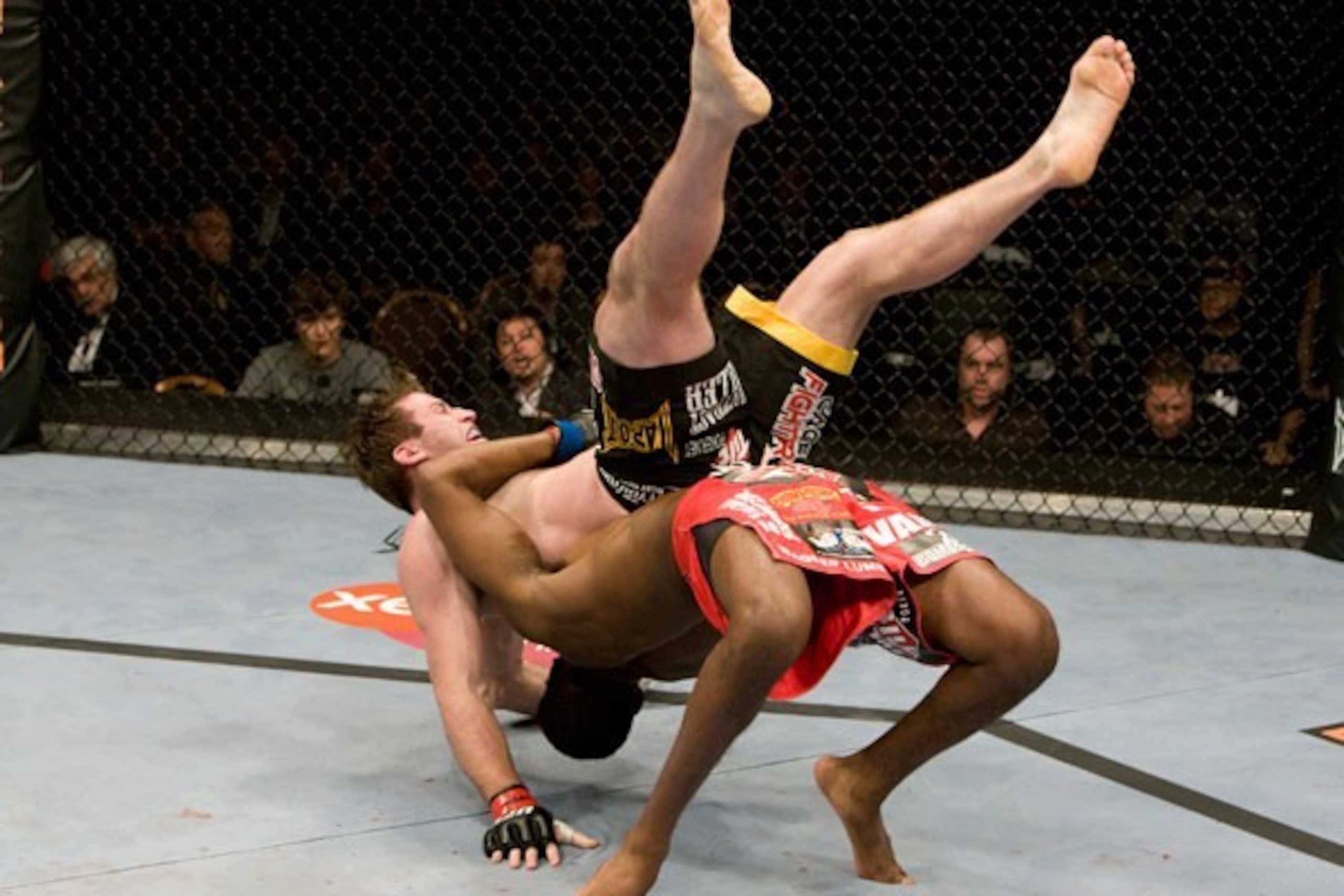 Shogun will want to avoid this