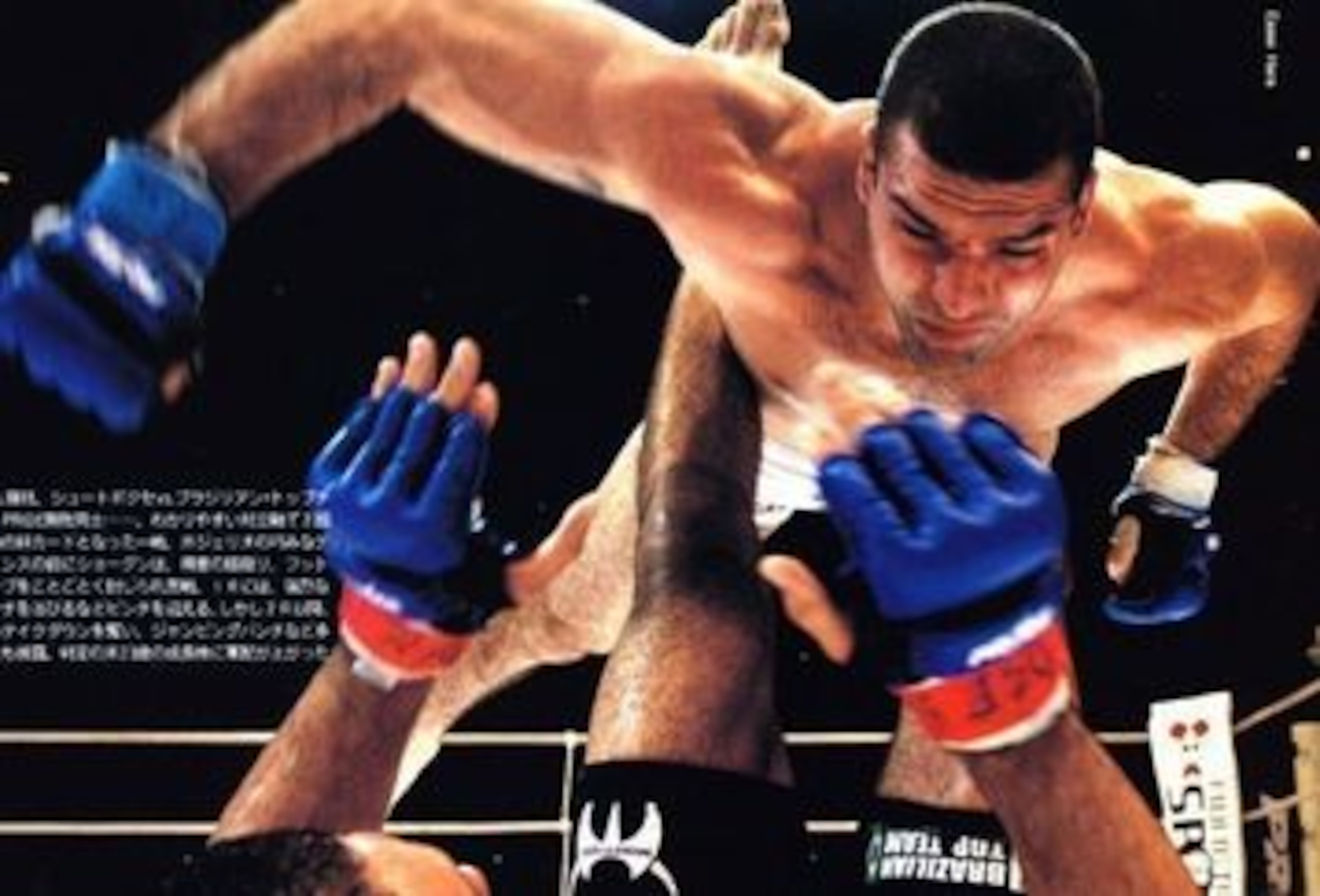 Courtesy of mmaforum.com