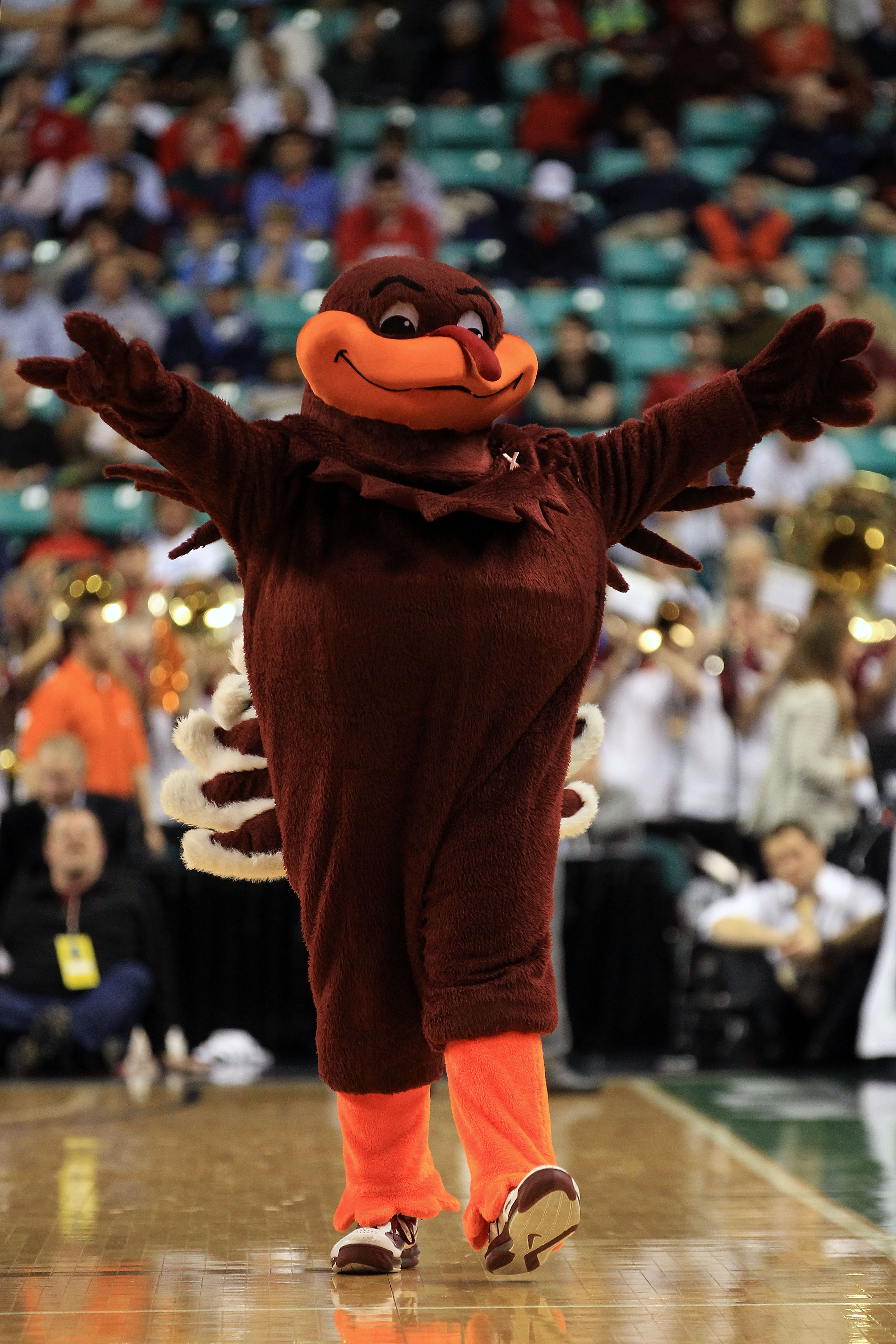 ACC Background Checks: The Origin of Every Team's Nickname and Mascot ...