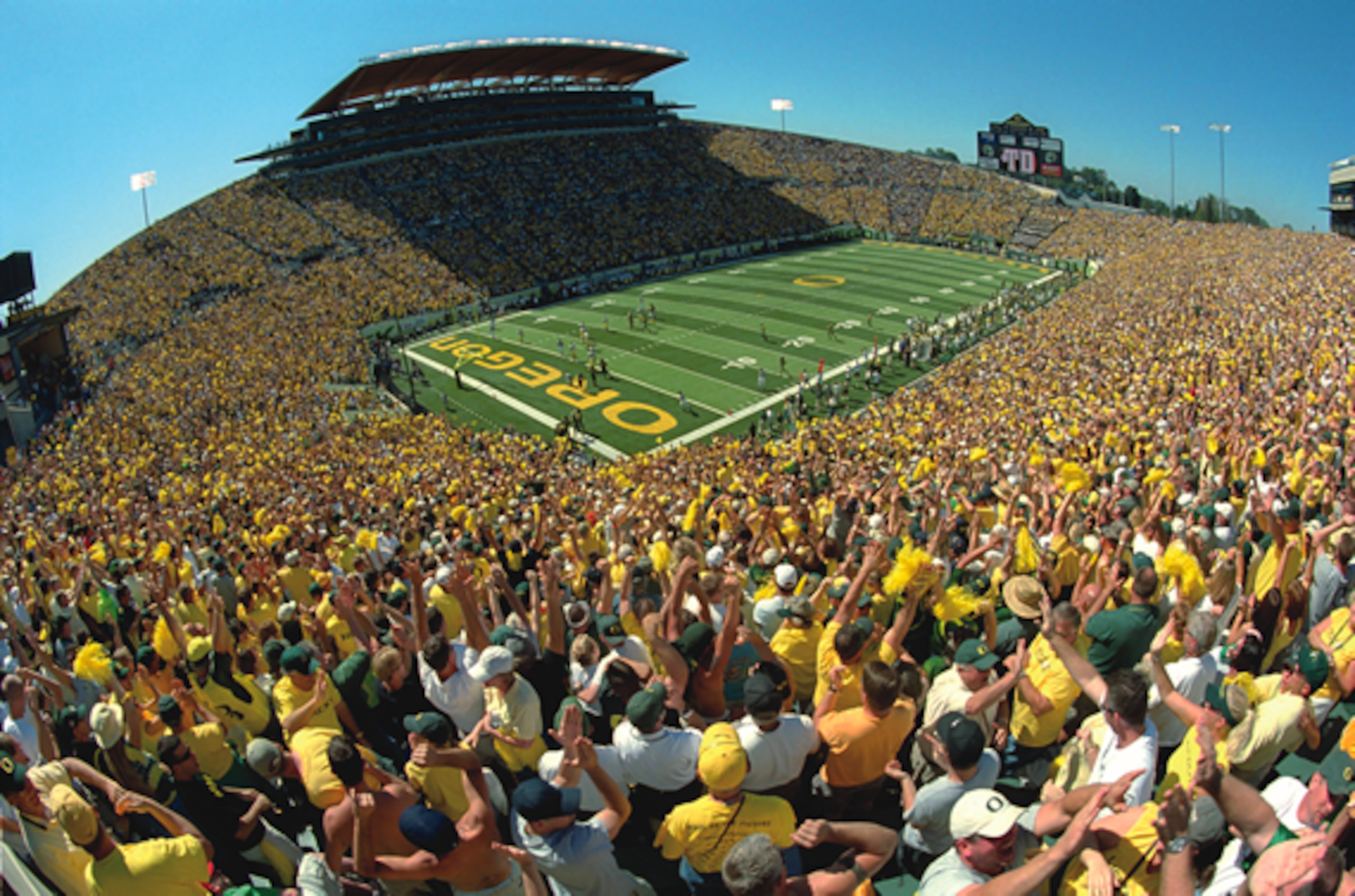 Here you will be attacked not just by the Ducks, but the fan noise Here you will be attacked not just by the Ducks, but the fan noise