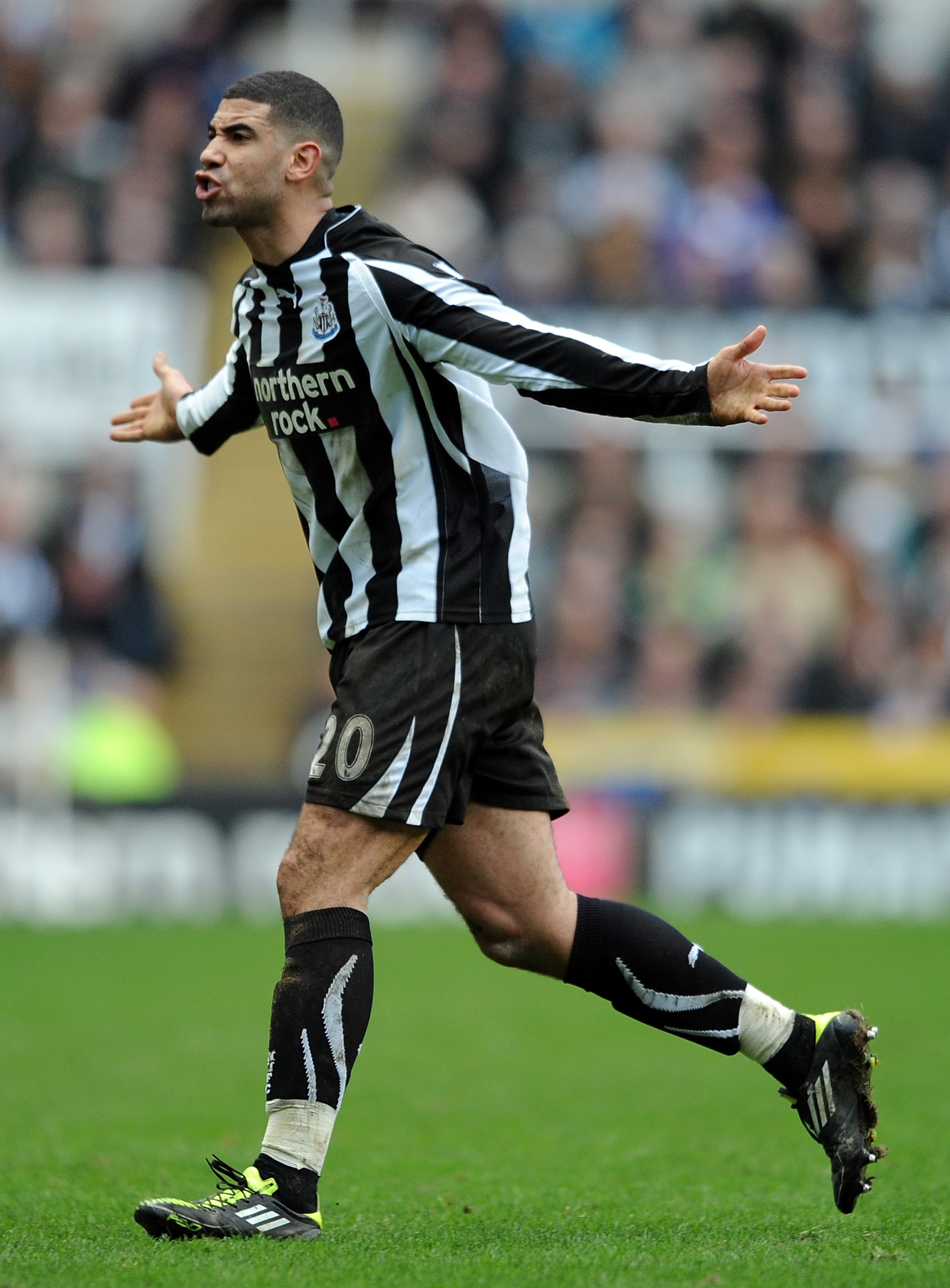 NEWCASTLE UPON TYNE, ENGLAND - FEBRUARY 26: Leon Best of Newcastle United reacts during the Barclays Premier League match between Newcastle United and Bolton Wanderers at St James' Park on February 26, 2011 in Newcastle upon Tyne, England.  (Photo by Chri