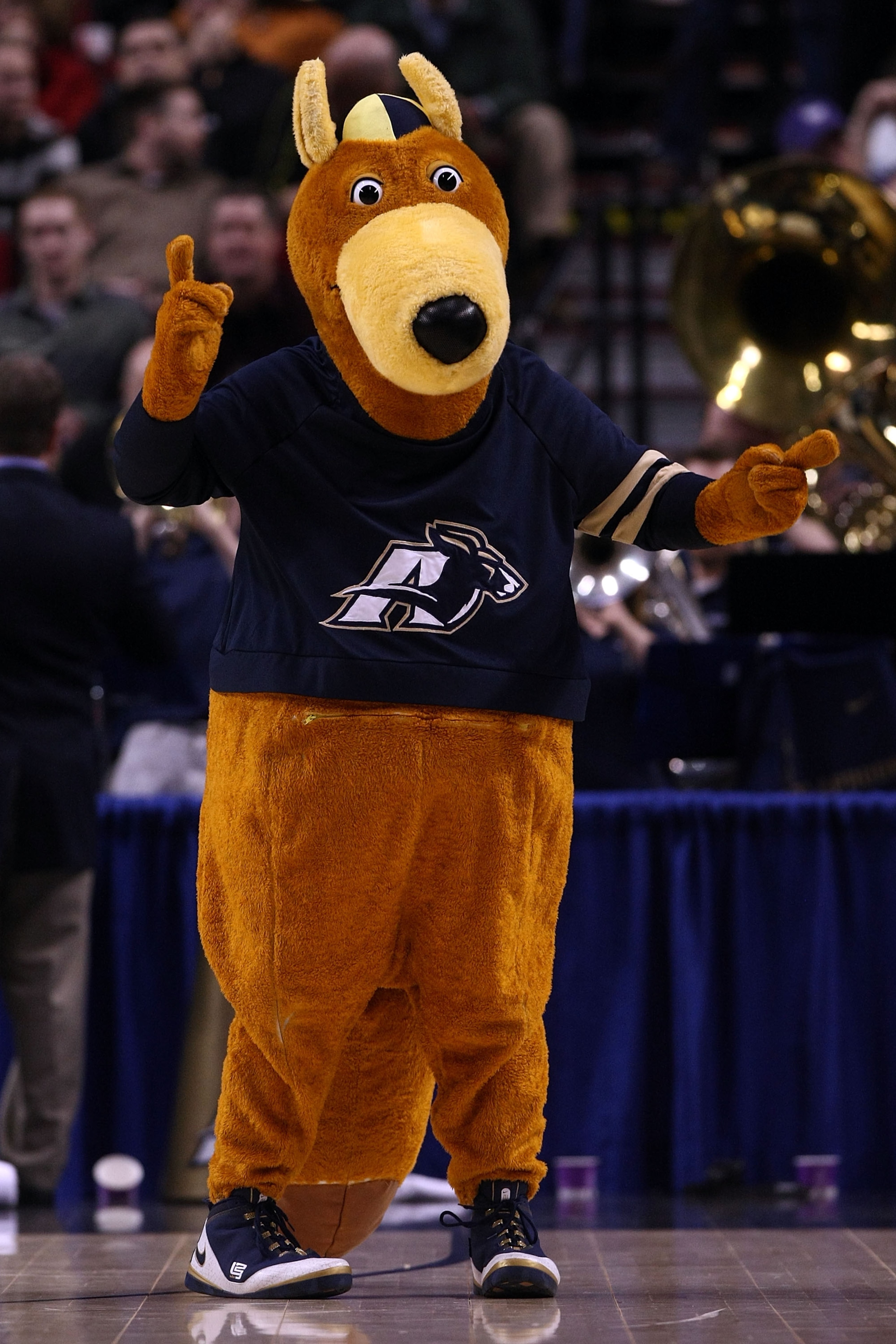 PORTLAND, OR - MARCH 19: The Akron Zips mascot performs on the court during a break in the action against the Gonzaga Bulldogs during the first round of the NCAA Division I Men's Basketball Tournament at the Rose Garden on March 19, 2009 in Portland, Ore PORTLAND, OR - MARCH 19: The Akron Zips mascot performs on the court during a break in the action against the Gonzaga Bulldogs during the first round of the NCAA Division I Men's Basketball Tournament at the Rose Garden on March 19, 2009 in Portland, Ore
