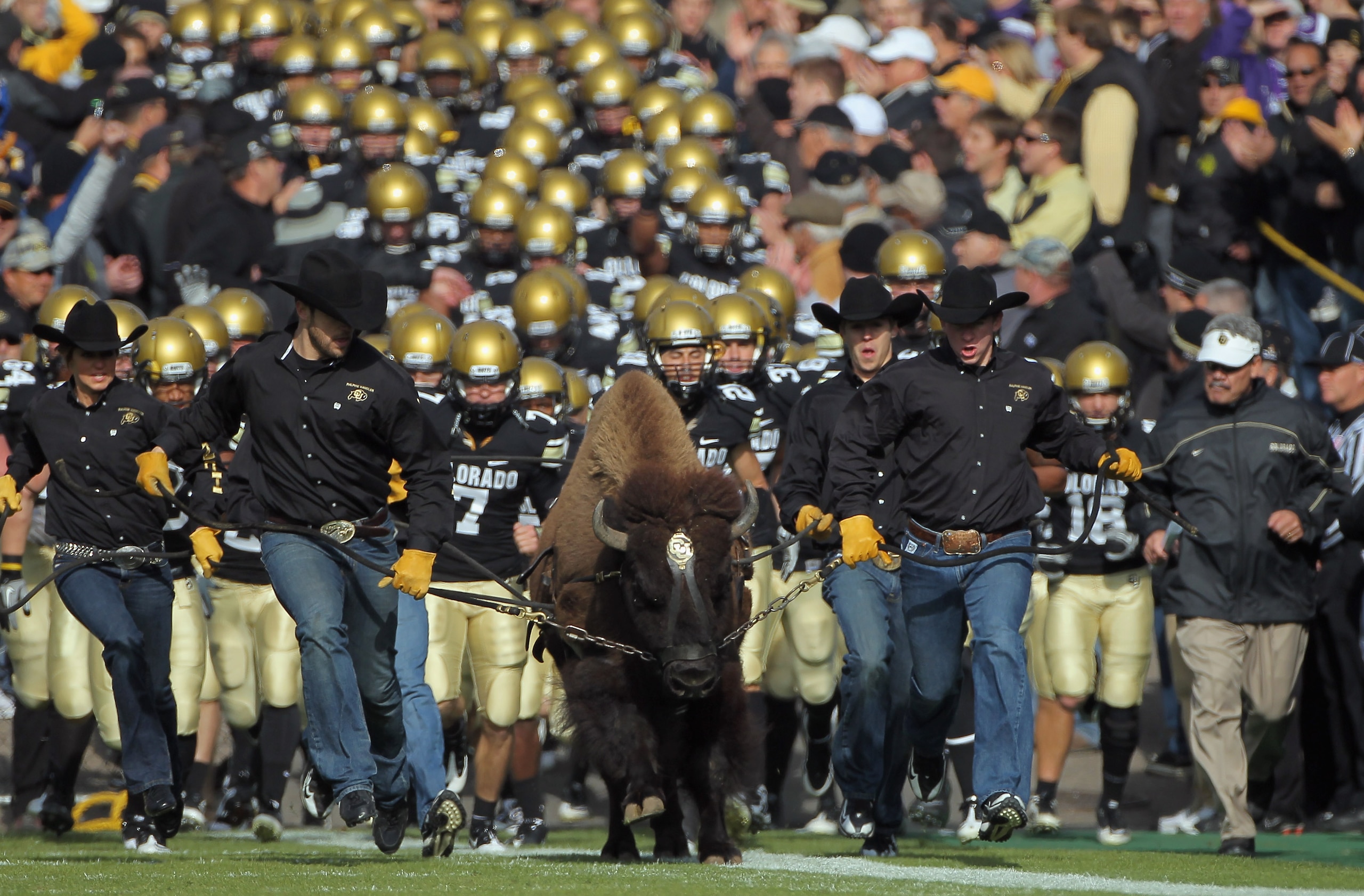 BOULDER, CO - NOVEMBER 20:  Ralphie IV, the mascot for the Colorado Buffaloes, leads coach Brian Cabral (R) and the team onto the field to face the Kansas State Wildcats at Folsom Field on November 20, 2010 in Boulder, Colorado.  (Photo by Doug Pensinger/