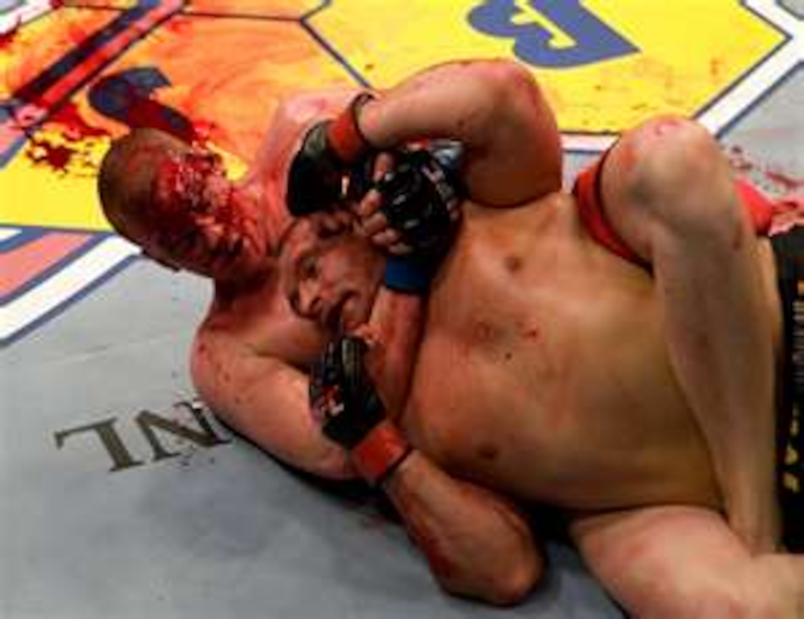 Stefan Struve maneuvering for a rear naked choke