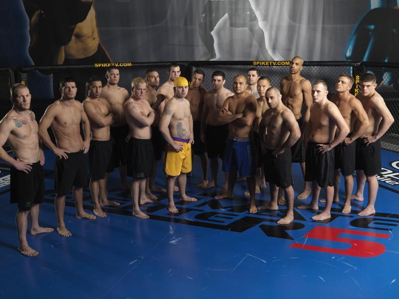 13++ Ultimate fighter winners ranked information